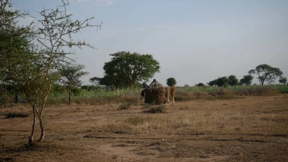 A Brokenhearted Request from Uganda