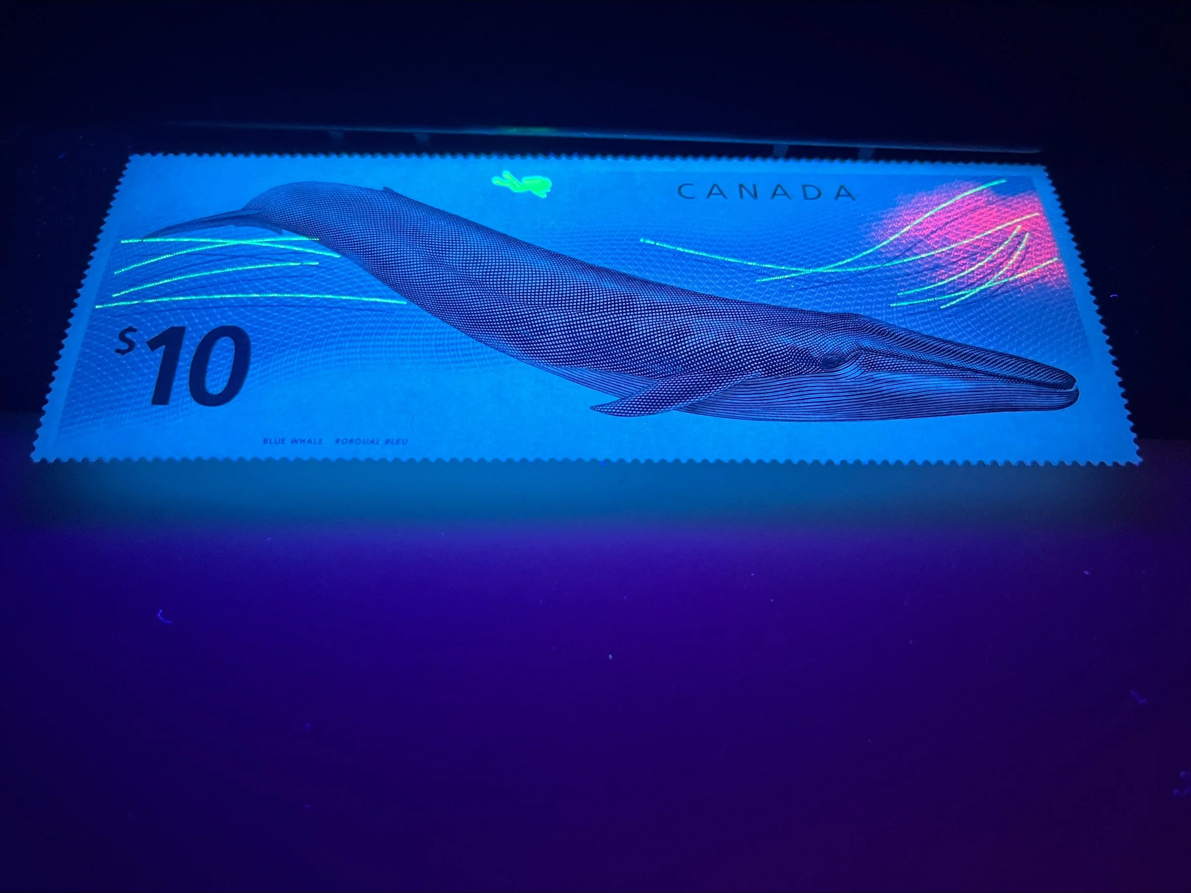 Blue Whale Canadian ten dollar postage stamp with black light security features visible.