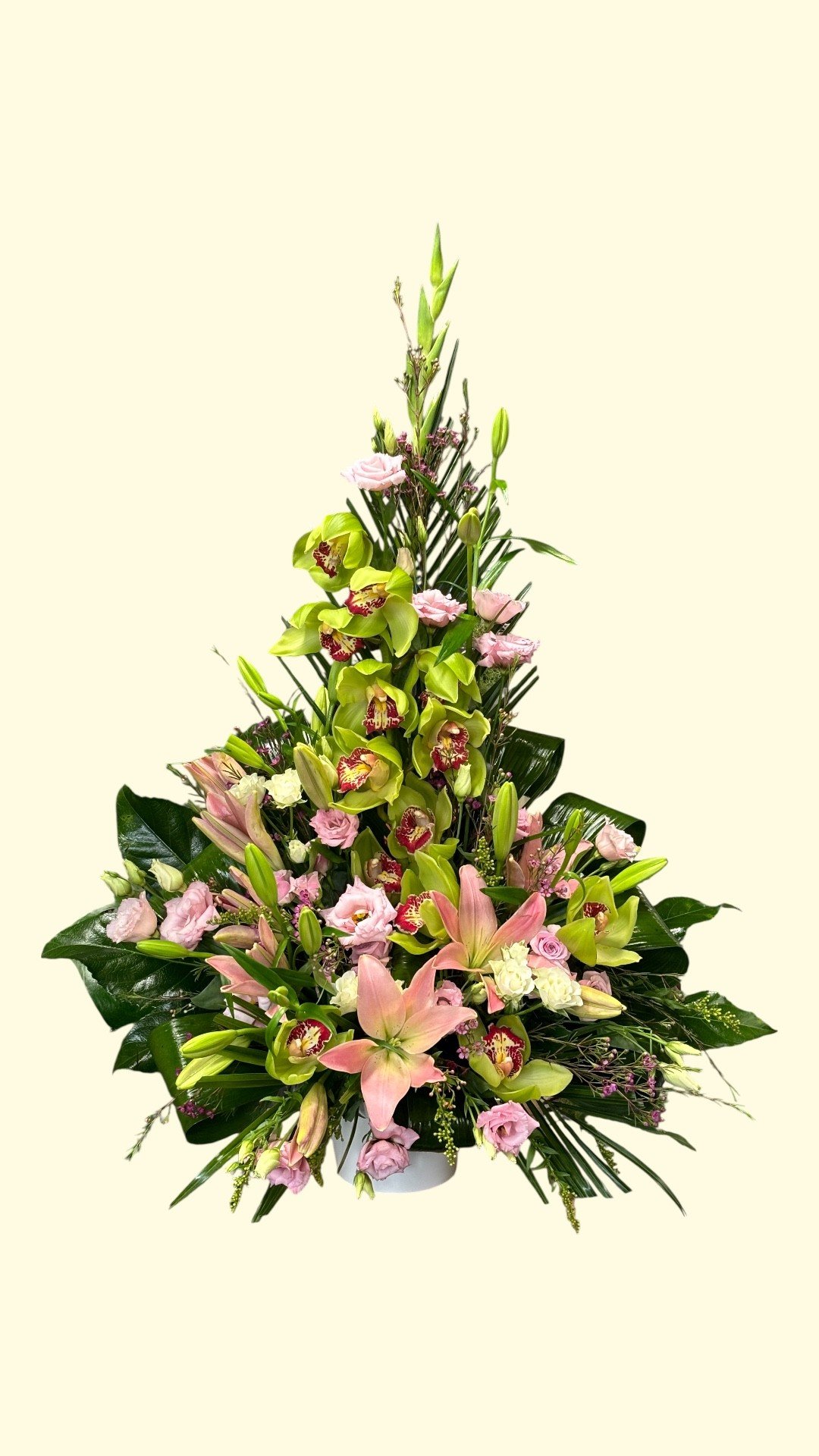 Sweet Petals Orchid Elegance