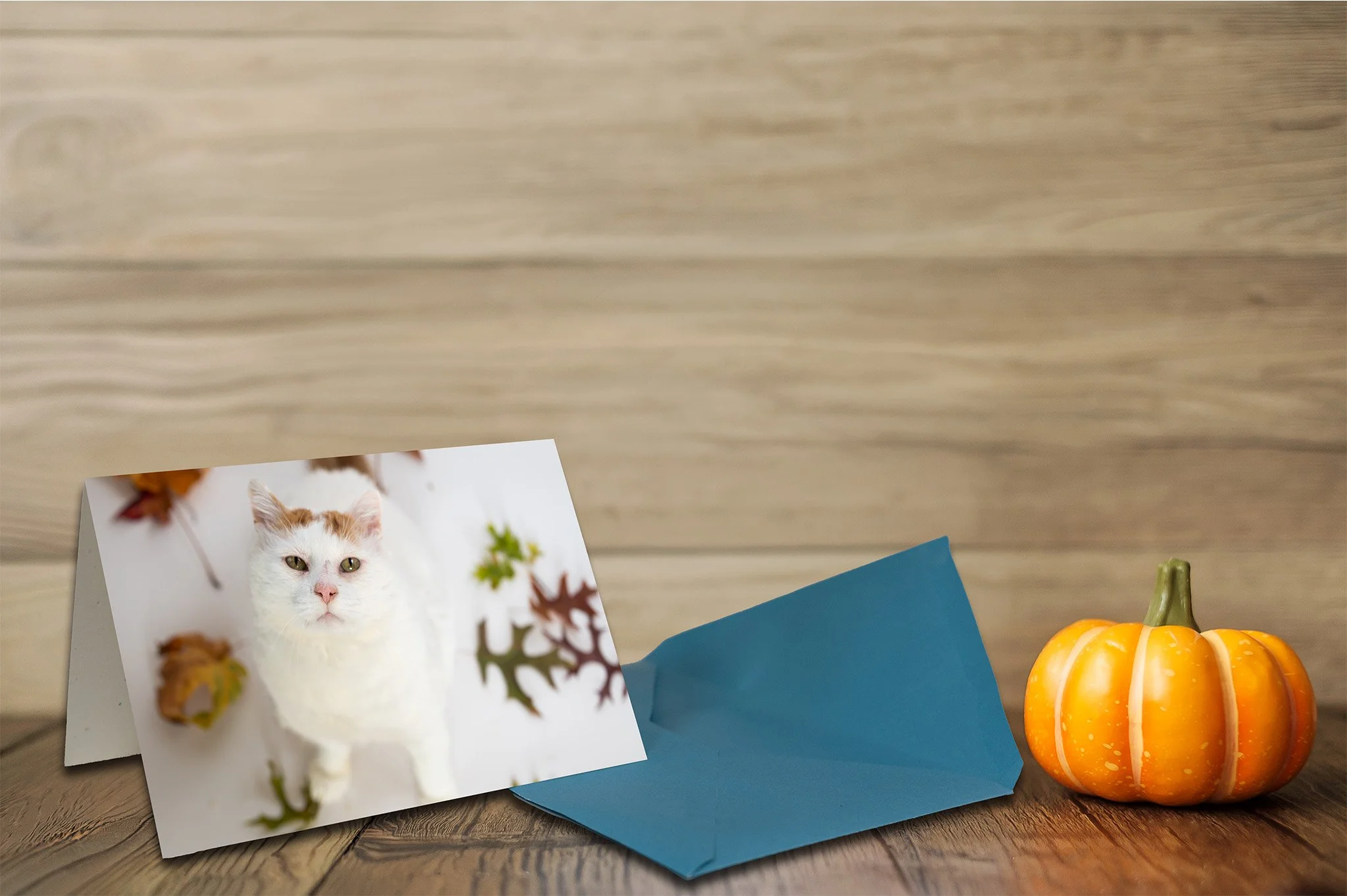 Fall Gus Mockup 3.jpg