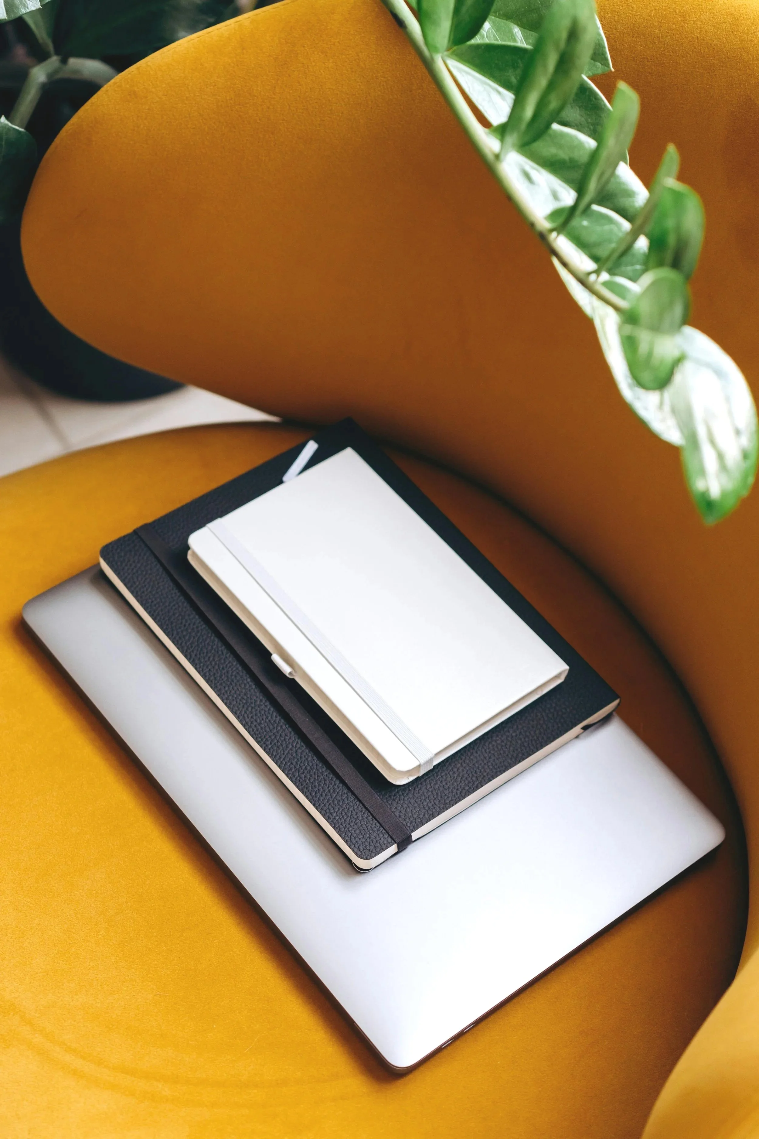 A yellow armchair with a laptop, two notebooks, and a white notepad on it. There is a plant with green leaves hanging over the armchair.