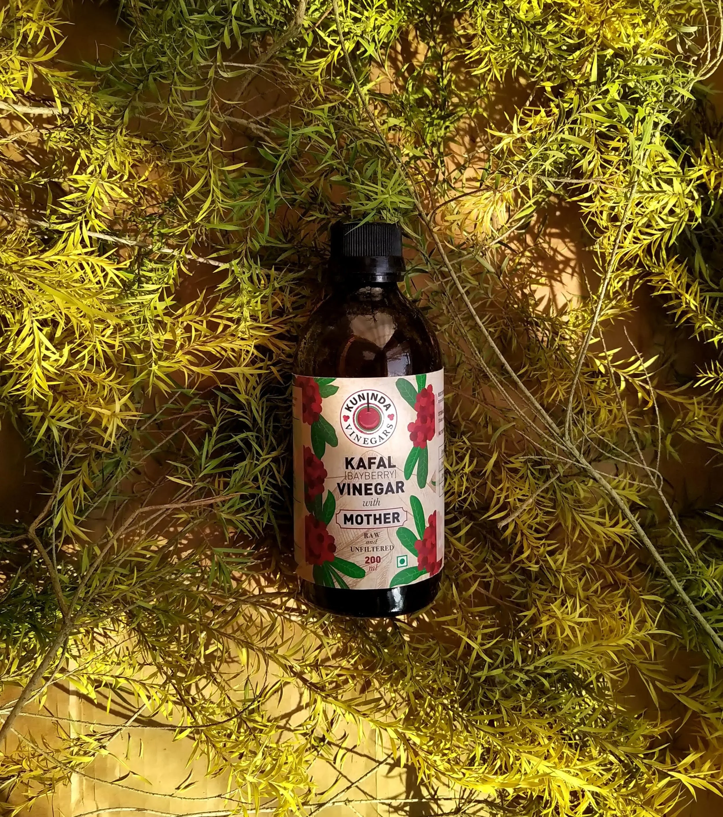 5 Must Try Vinegars from India