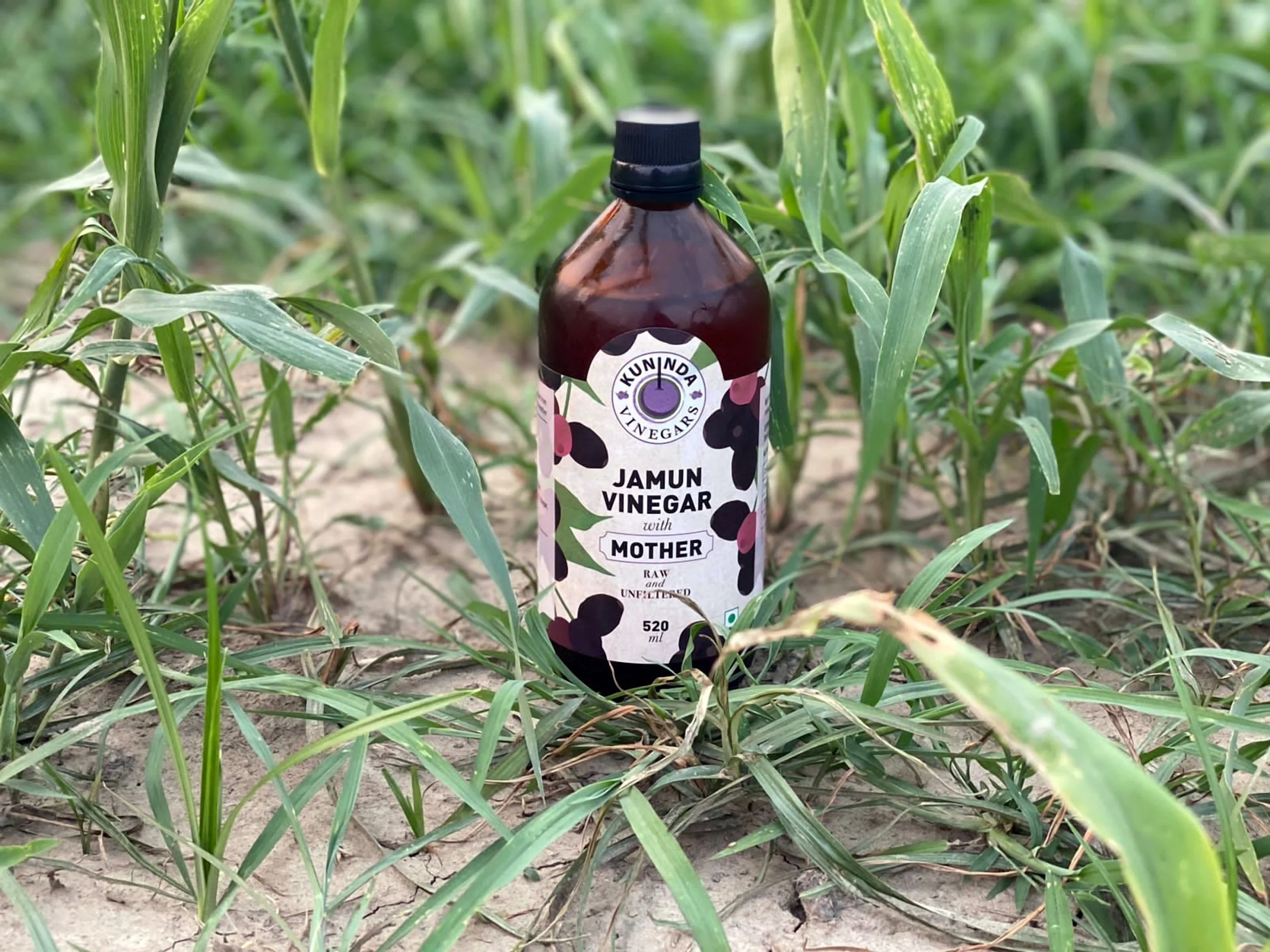 Jamun Vinegar