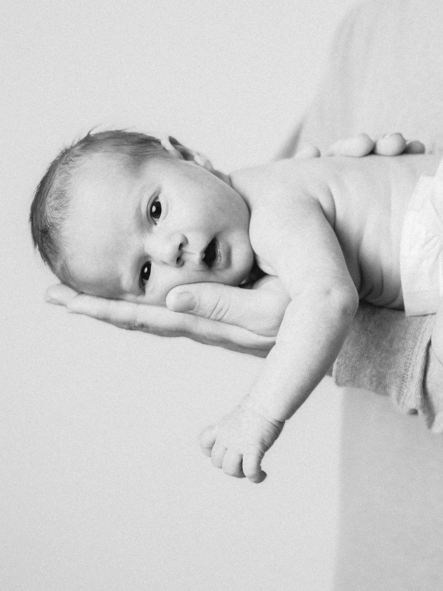 Little Halston was an absolute angel during her session!

Spring newborn sessions are now open! reserve your spot today 🤍