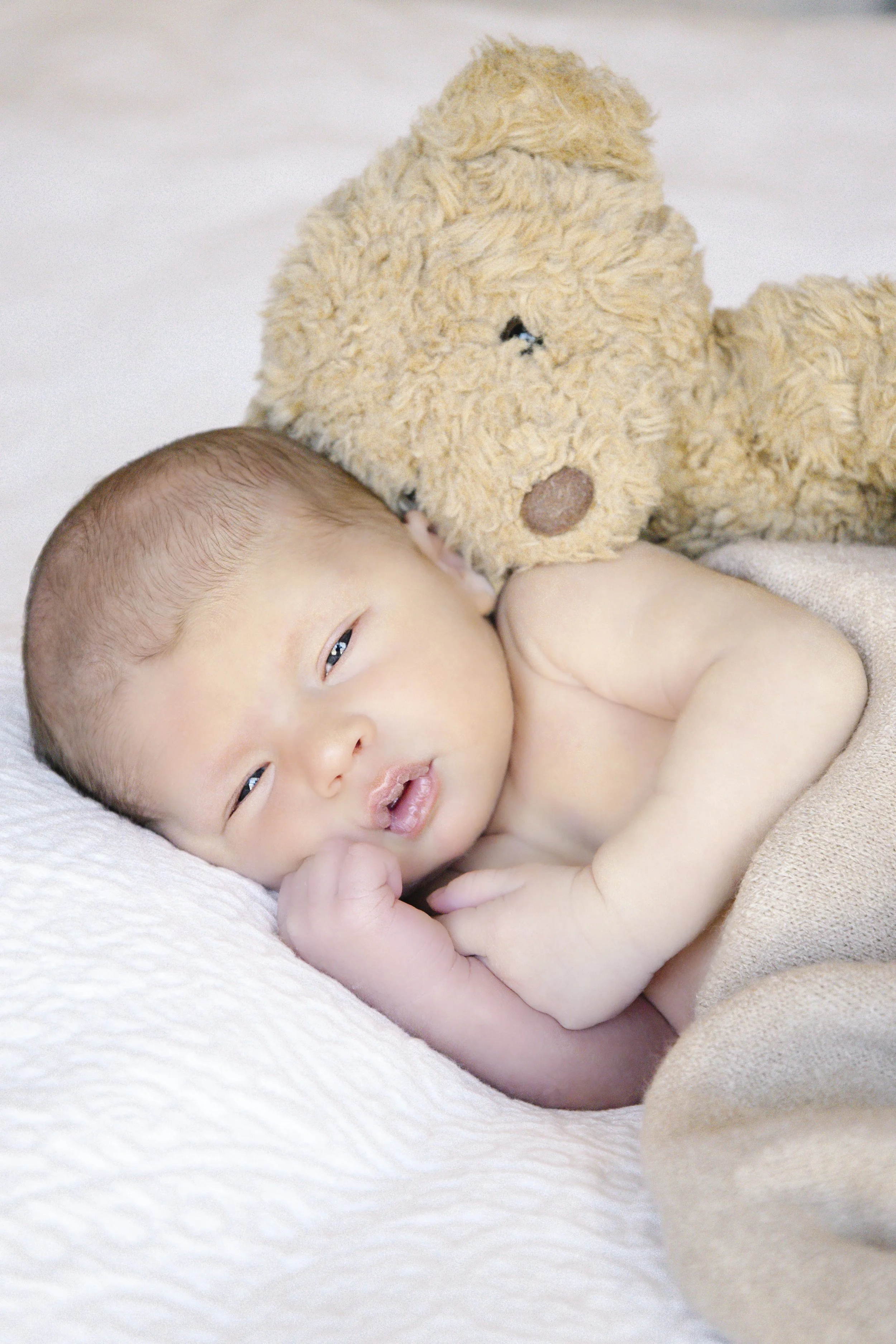 Newborn + Maternity