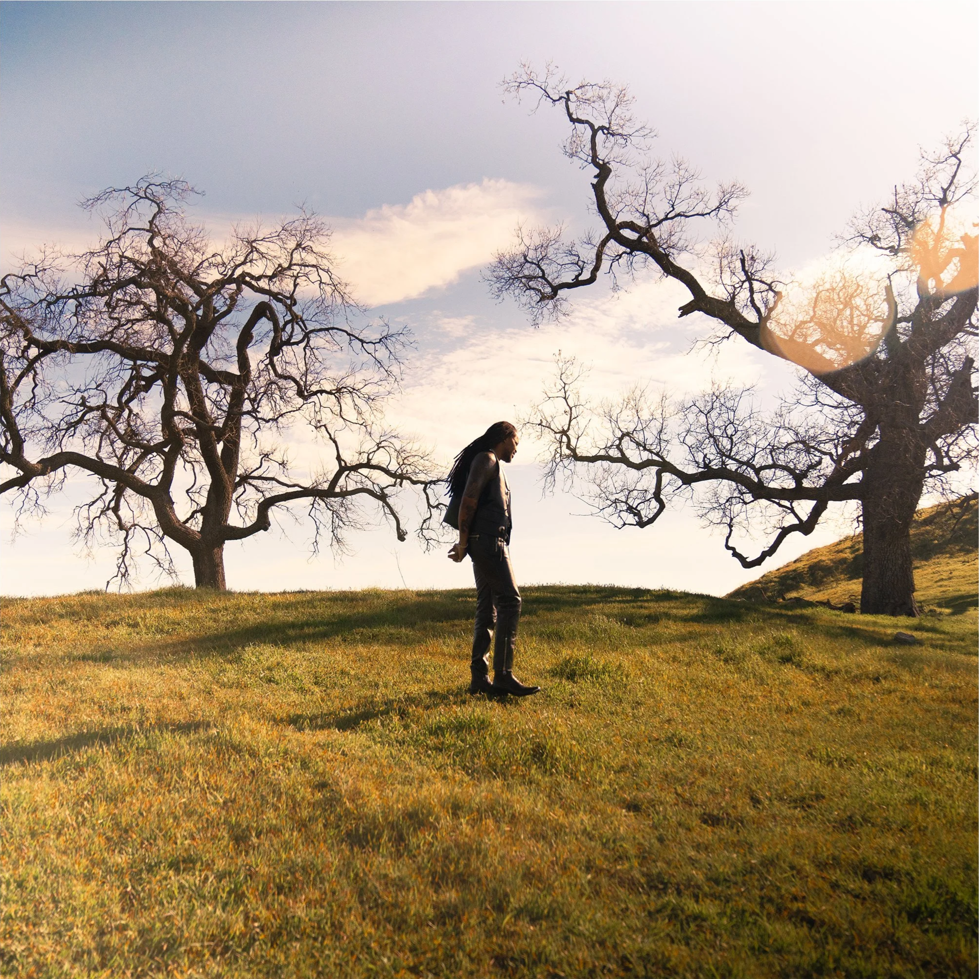 A person walking on grassy ground with leafless trees and a partly cloudy sky