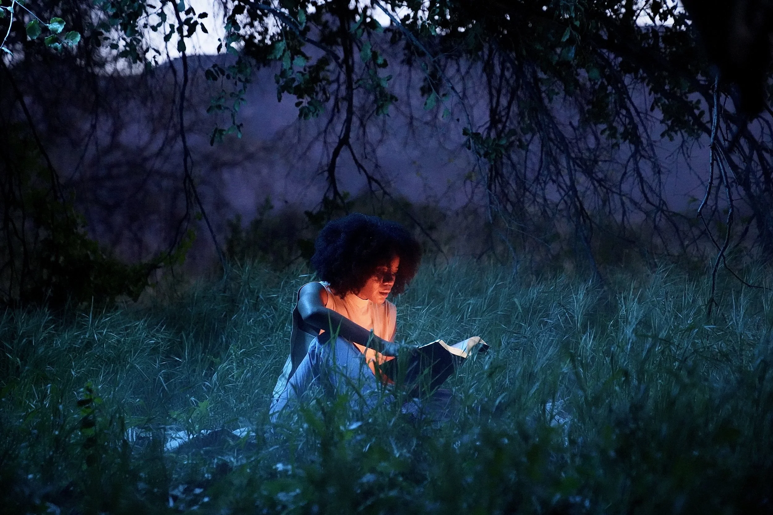 A person with curly hair sitting cross-legged in a grassy area under a tree, reading a book during twilight.