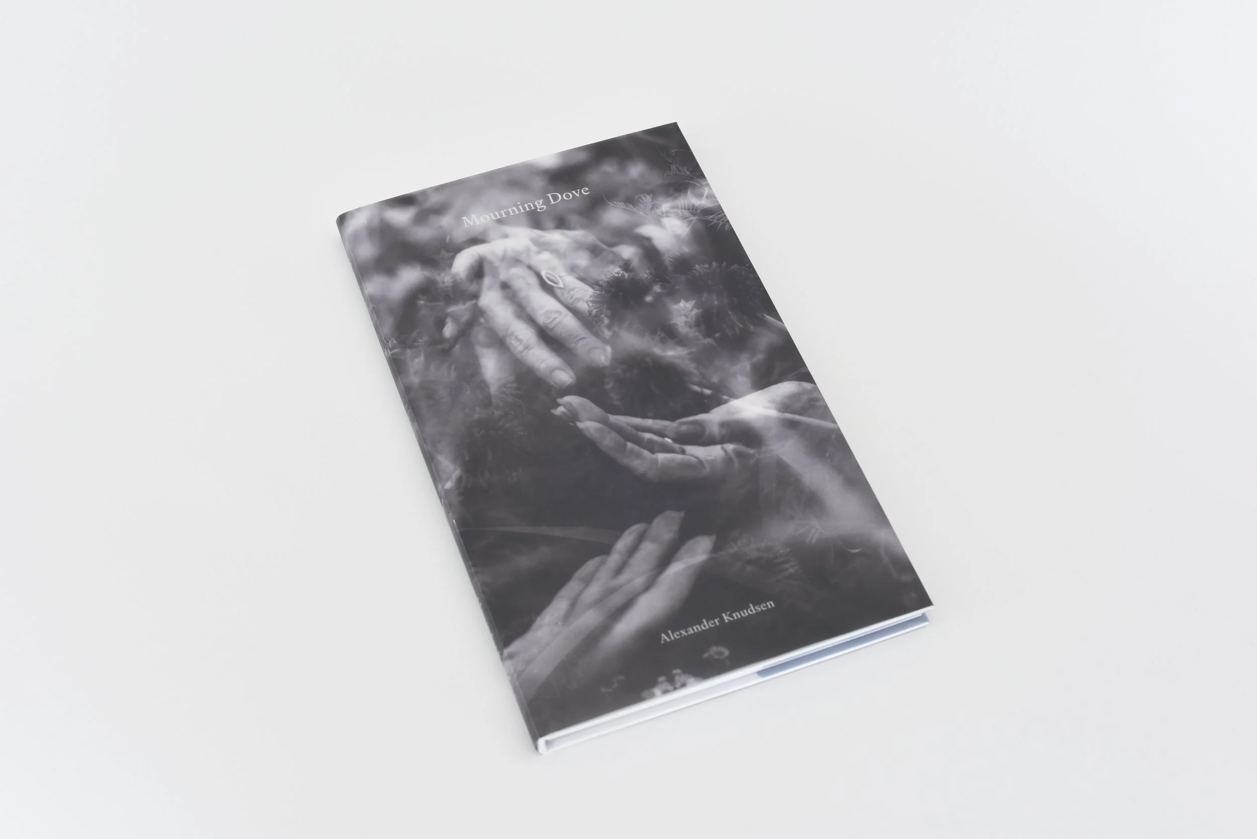 Mourning Dove by Alexander Knudsen