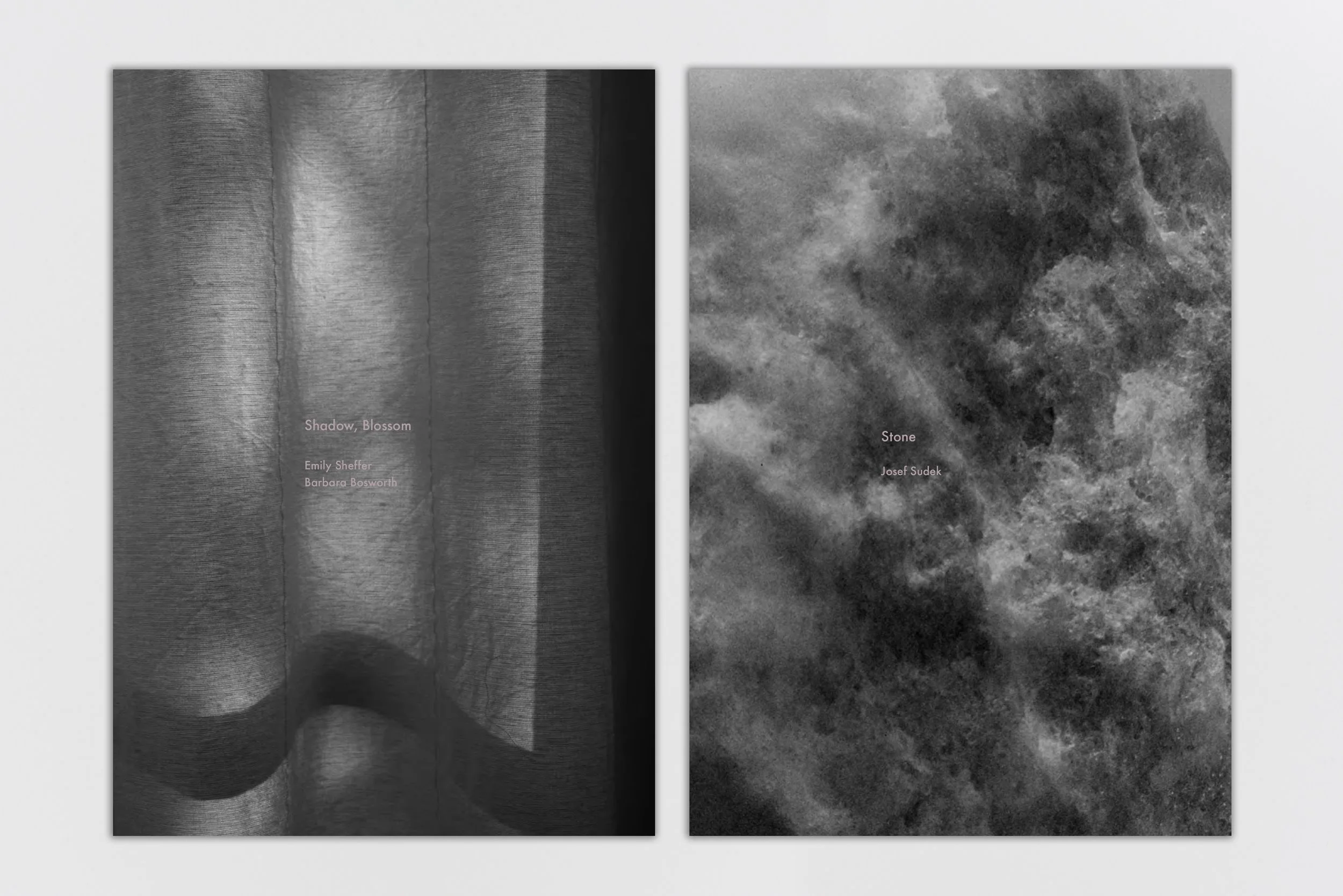 Shadow, Blossom, Stone: Searching for Sudek by Emily Sheffer and Barbara Bosworth