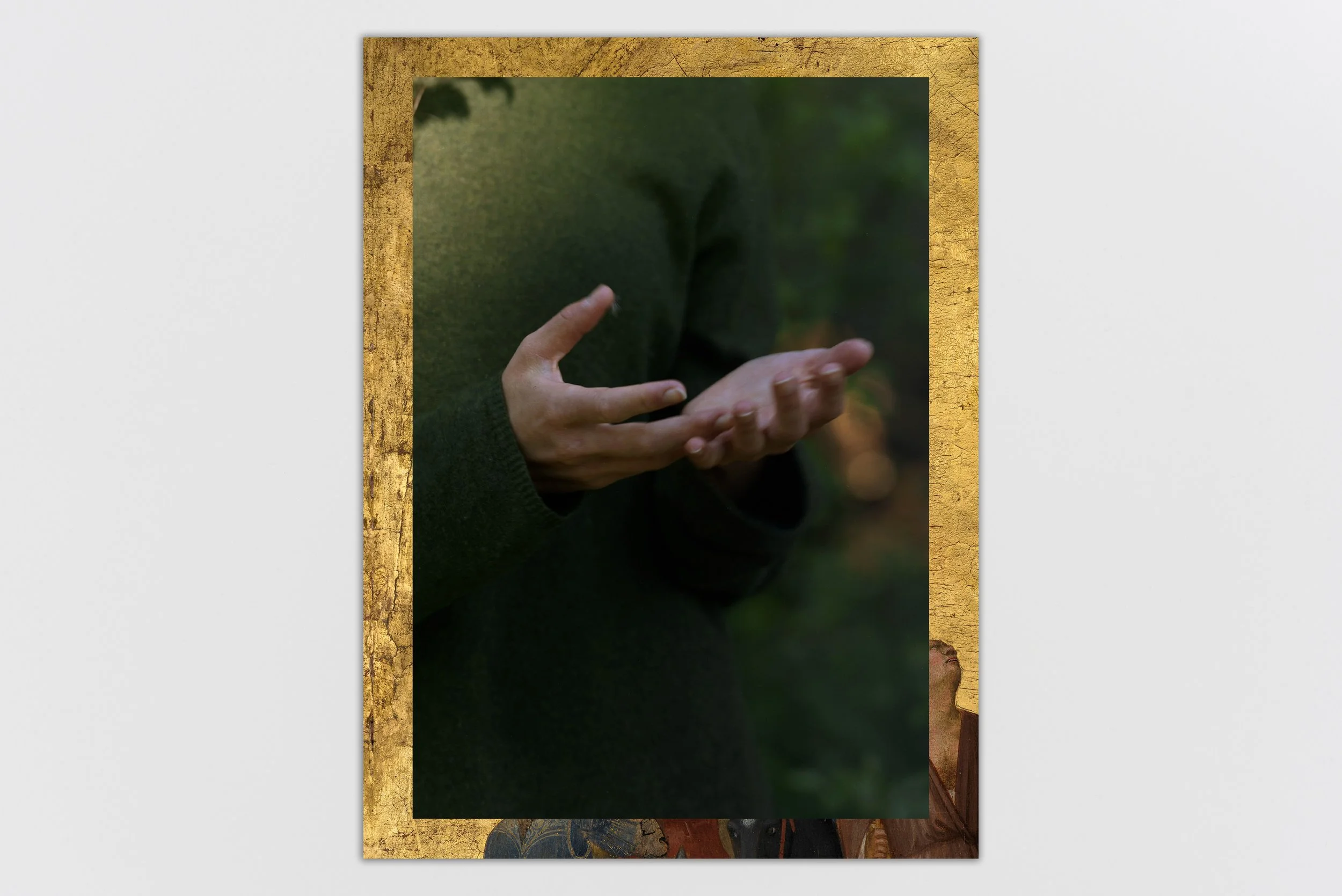 Birds and Other Angels by Barbara Bosworth