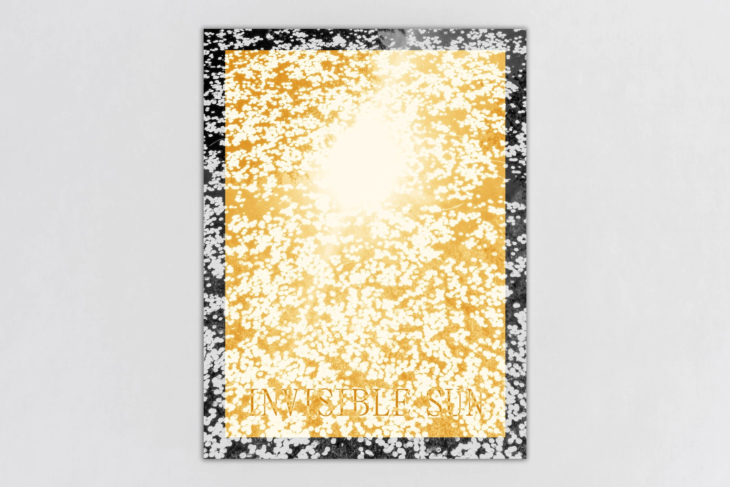 Invisible Sun - Amani Willett.jpg