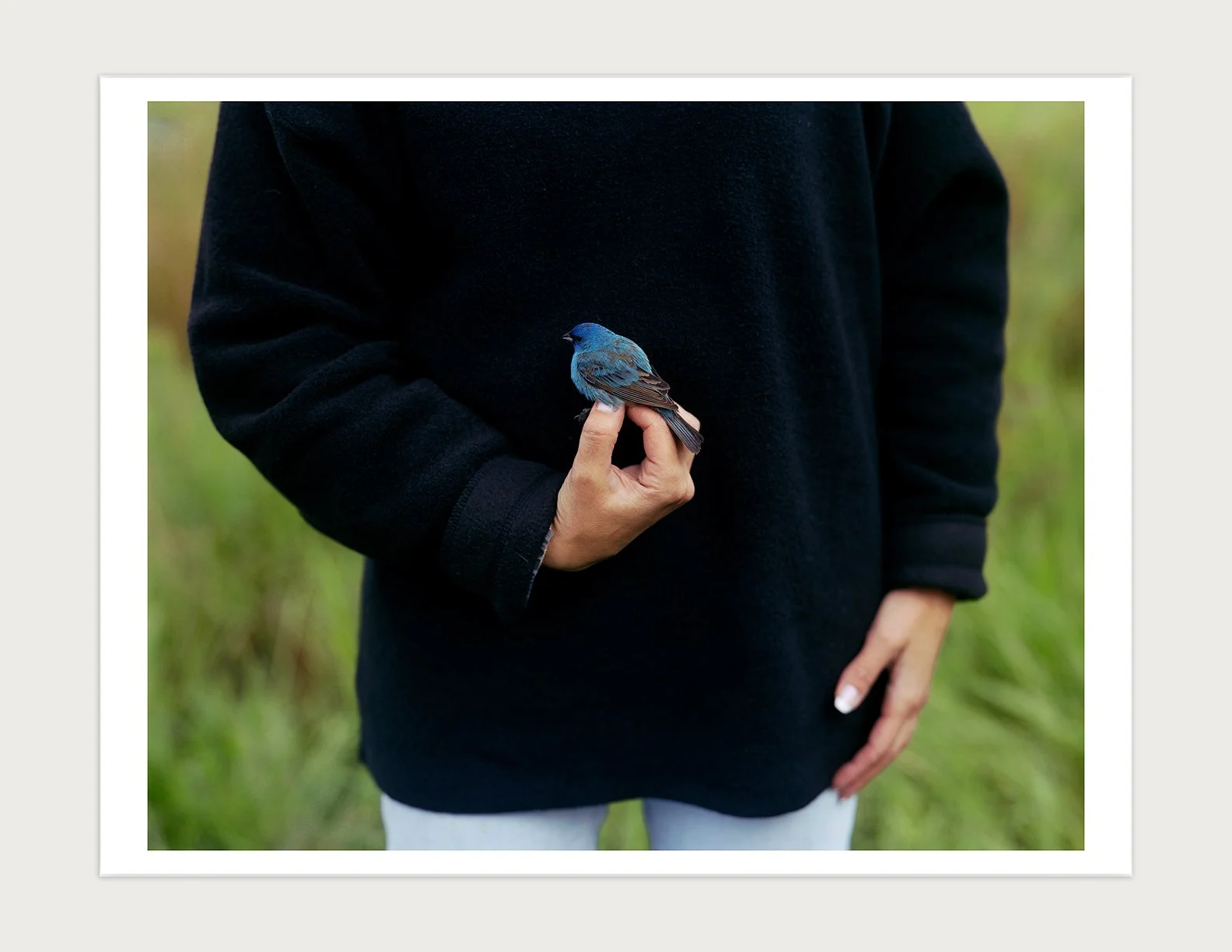 Birds and Other Angels sp ed.jpg