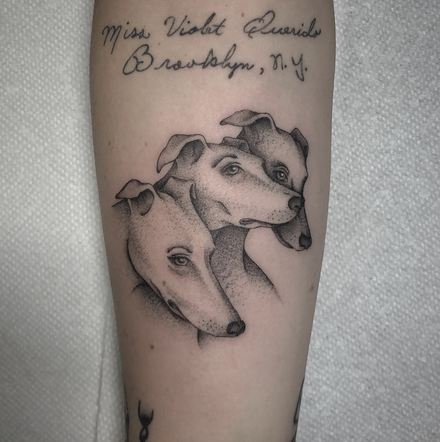 Screen Shot 2023-06-04 at 6.09.36 PM.png