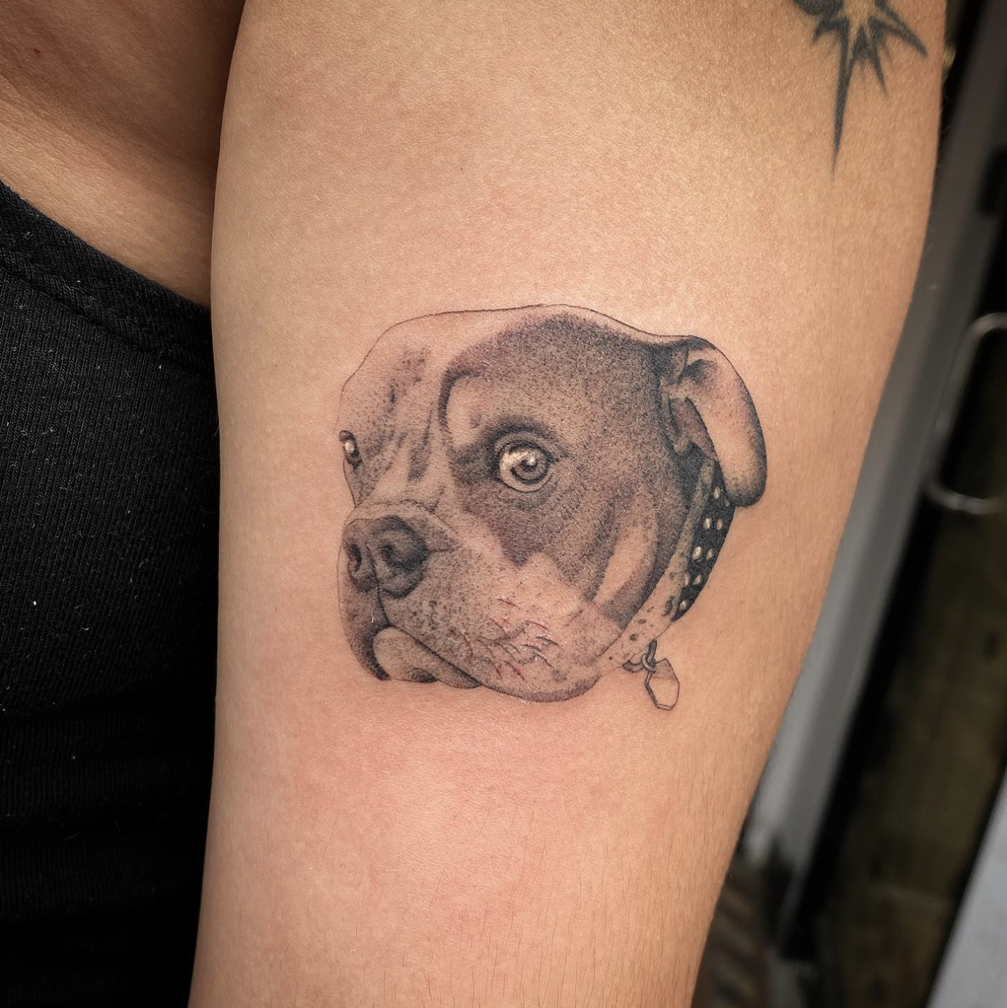 Screen Shot 2023-06-04 at 7.35.47 PM.png