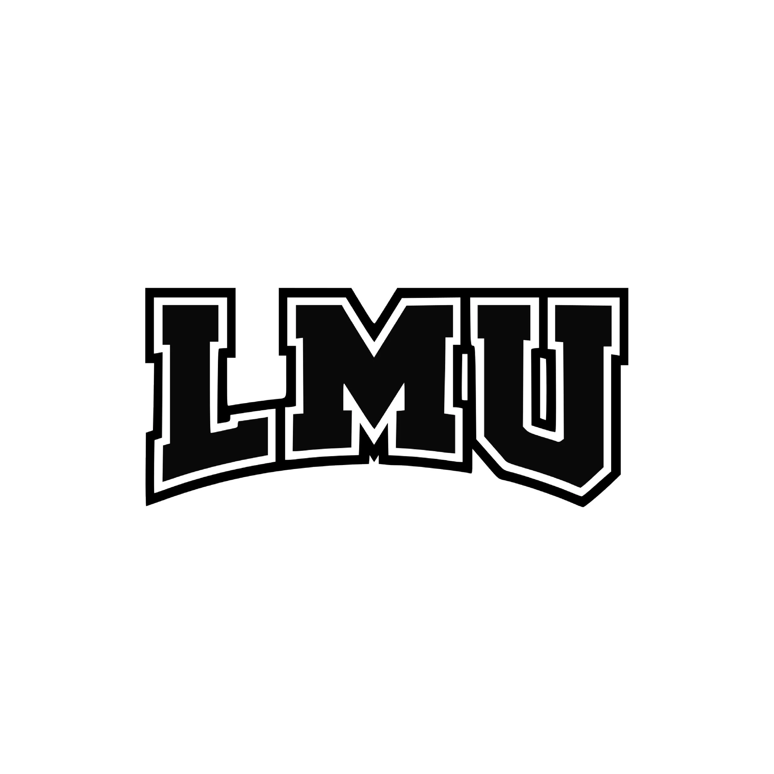 FWH_Univeristy+logos_LMU.jpg