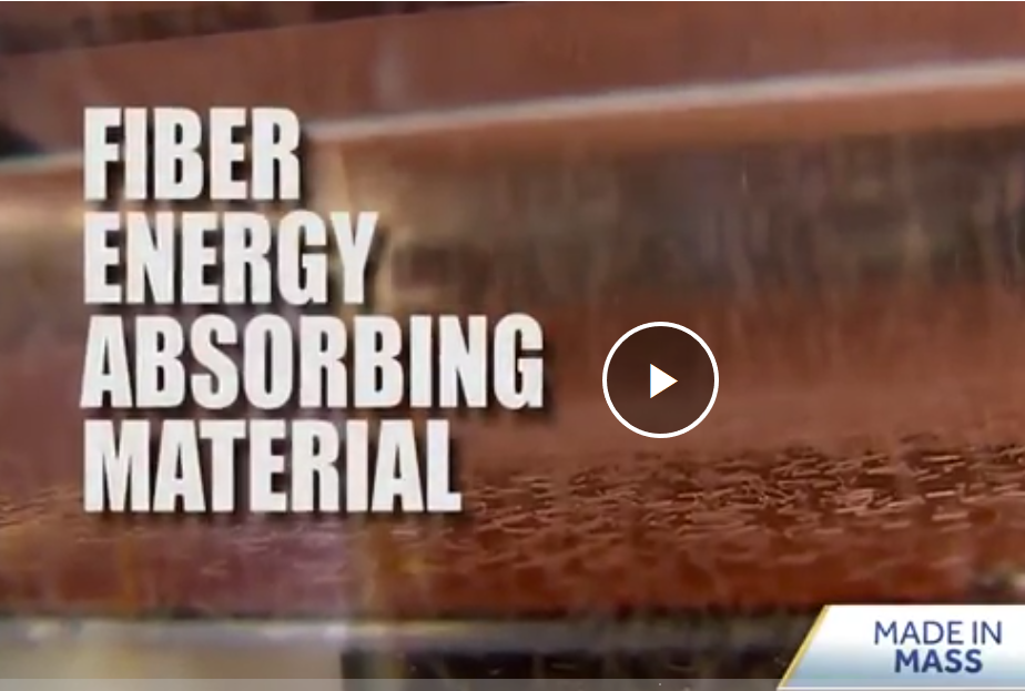 FEAM Featured on Local News