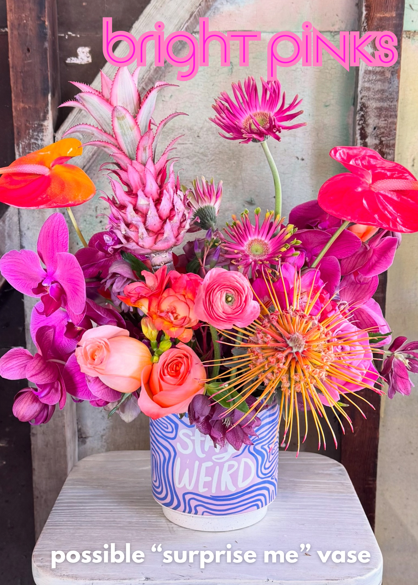 bright pink vibrant flowers unique for valentines day