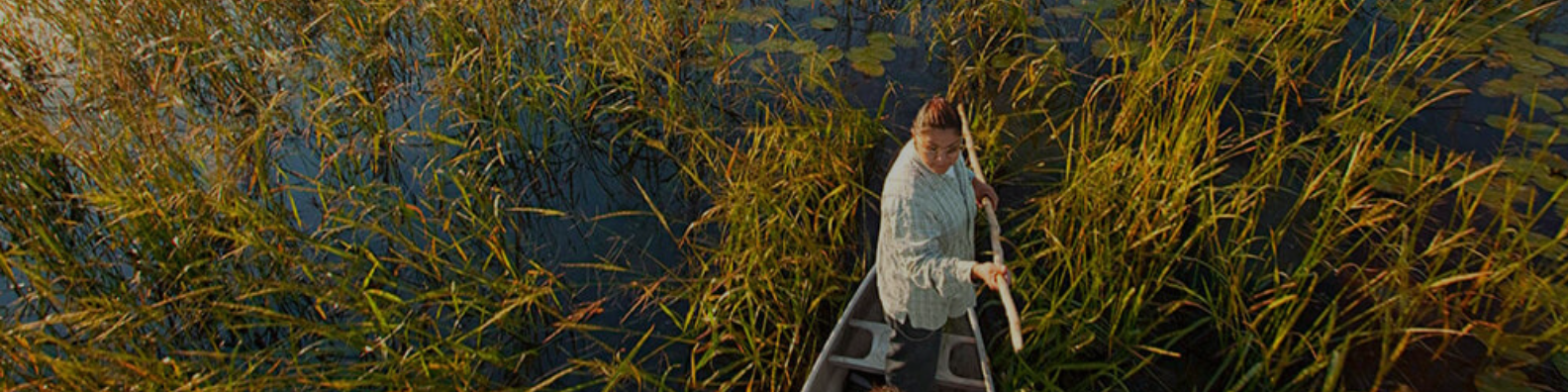 Native Agriculture: Food Sovereignty, Food Systems, and Financing ...