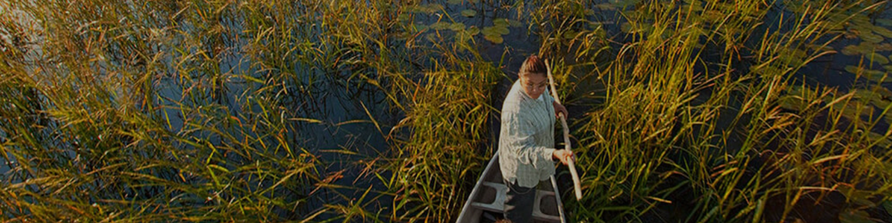 Native Agriculture: Food Sovereignty, Food Systems, and Financing ...