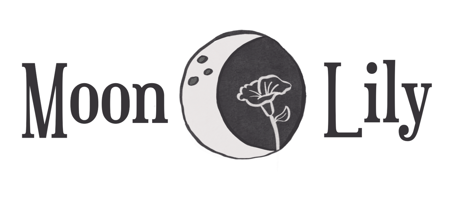 Salon — Moon Lily Boutique