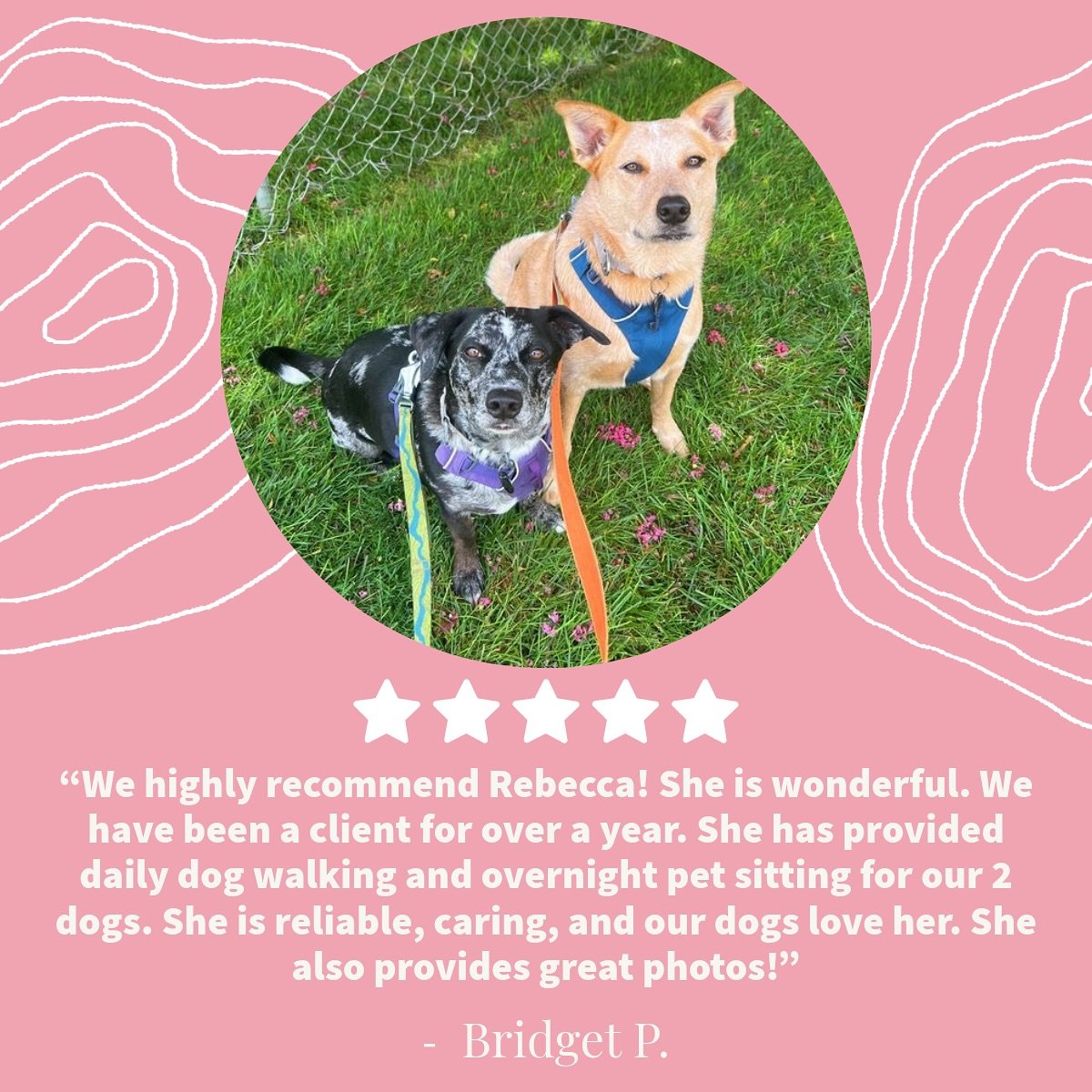 Review Wednesday!! 🌟 A lovely review from the lovely boys Finn &amp; Zeus&rsquo; mom! 🐶 They are always so much fun!
I appreciate reviews sooo much and I&rsquo;m always happy to hear feedback! There is a link in my bio if you&rsquo;d like to leave 