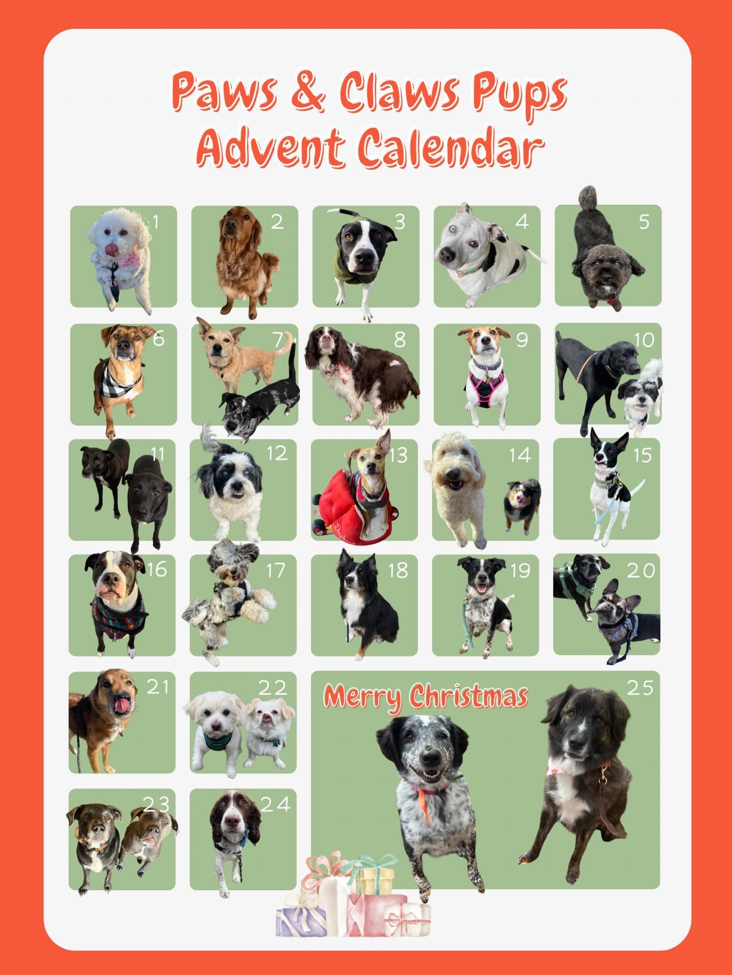 It&rsquo;s the MOST wonderful time of the year! 🎄 We are officially kicking off our 12 Days of Christmas countdown with the Paws &amp; Claws Pups Advent Calendar!

We loved putting this calendar together to feature some of the cutest dog clients we&