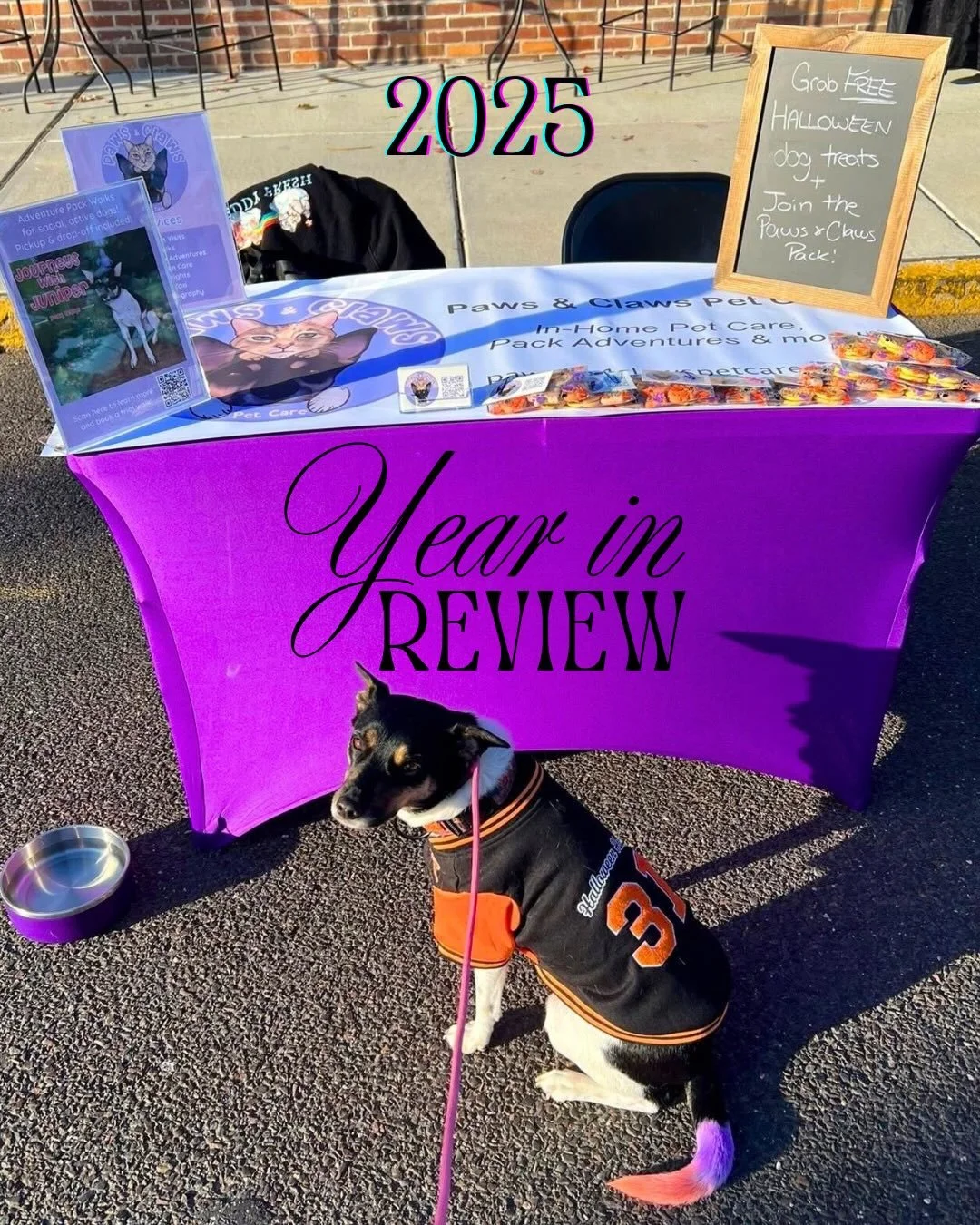 2025 was a fun year full of wags, purrs, and milestones! 🐾

We took a look at the data, and the results are in&mdash;you kept us busy! This year, we grew in ways we never imagined:
&bull; We expanded our team to a total of 8 pet care providers to ma