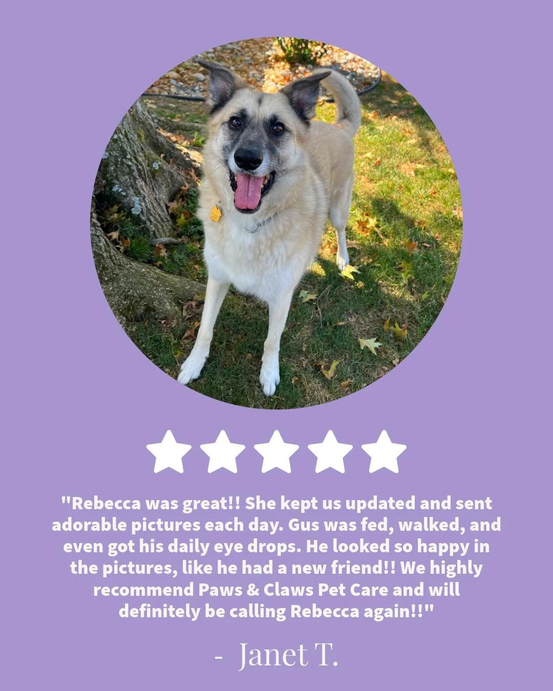 A huge thank you to Guster&rsquo;s mom for this lovely review! 💕 It truly is the greatest gift our amazing clients can give our small business! Ready to gift us a review? Link is in bio! 🎁