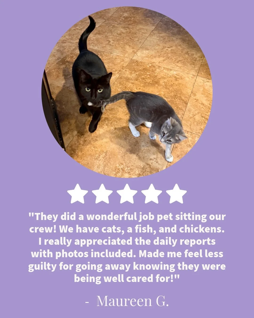 A huge thank you to Sally &amp; Sadie&rsquo;s mom for such a kind review! Caring for her crew, from the cats and fish to the chickens, is truly so much fun! 💕🐱🐠🐓

We love what we do and know how hard it is to be away from your pets, which is why 