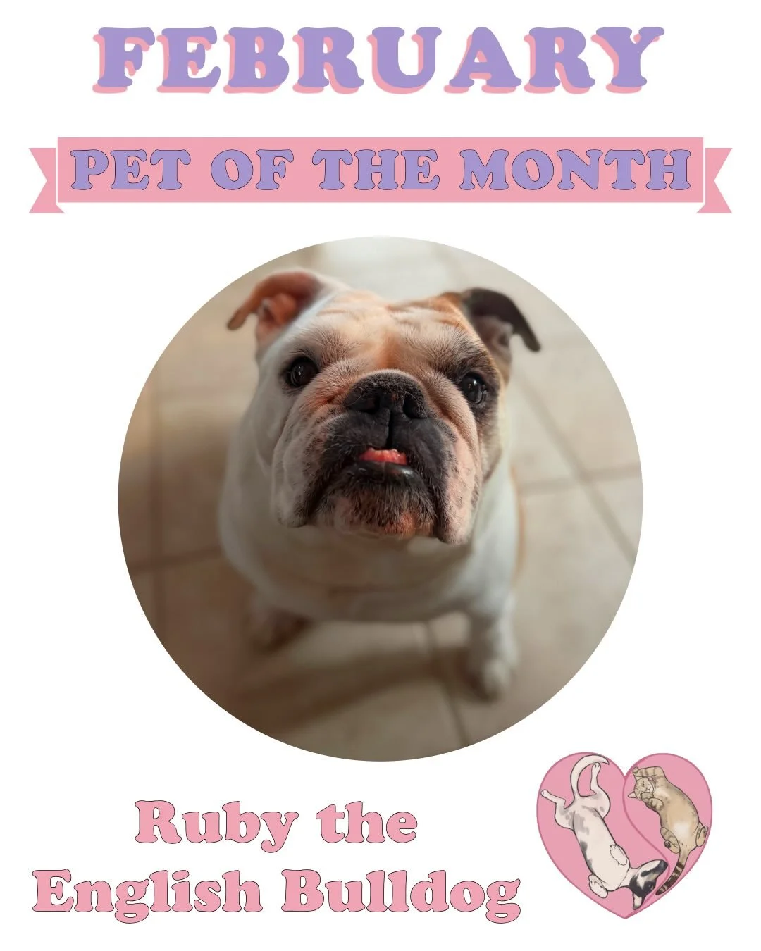 Our February Pet of the Month is the one and only Ruby!! ❤️ Ruby is an adorable 5-year-old English Bulldog! We&rsquo;ve been taking care of her (and her leopard gecko sister) for over a year now! She is the sweetest girl who loves to snuggle up on th