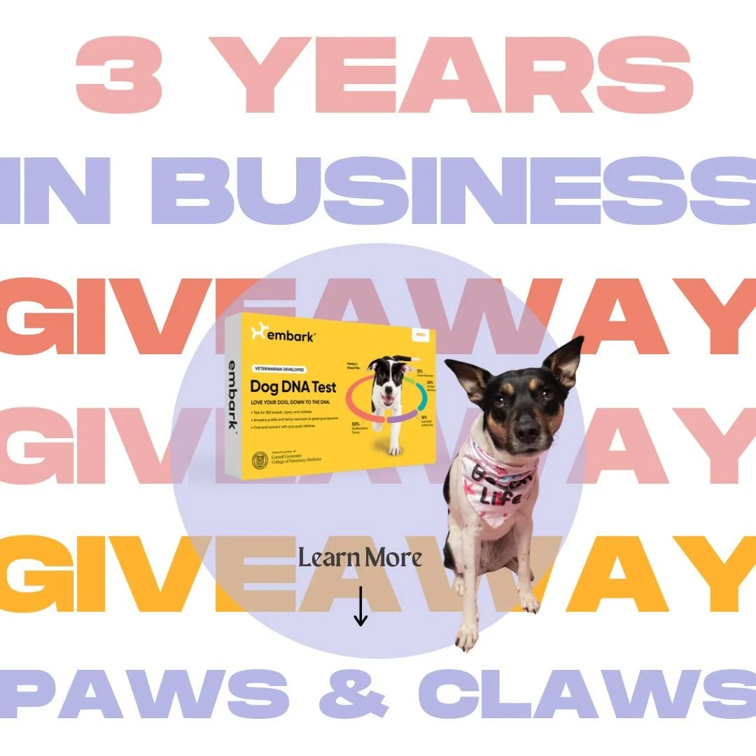 🥳 3 YEARS OF PAWS &amp; CLAWS PET CARE GIVEAWAY! 🐾

On March 3rd, we officially hit our 3-year anniversary! To celebrate the family that has grown with us, we are having our first ever giveaway! We&rsquo;re giving away 3 prize packs to thank our lo