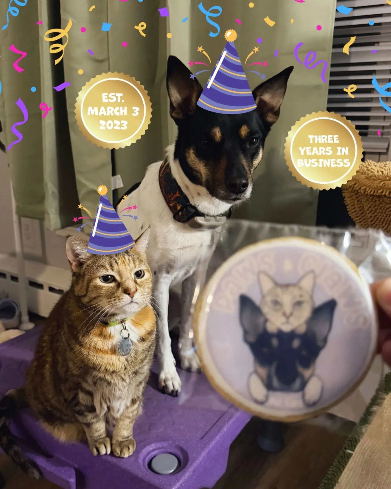 It&rsquo;s hard to believe that exactly three years ago today, on 3/3/23, I took a chance and left my doggie daycare job to pursue my dream of providing a better, more peaceful kind of care for pets who didn&rsquo;t thrive in a boarding setting. I sa