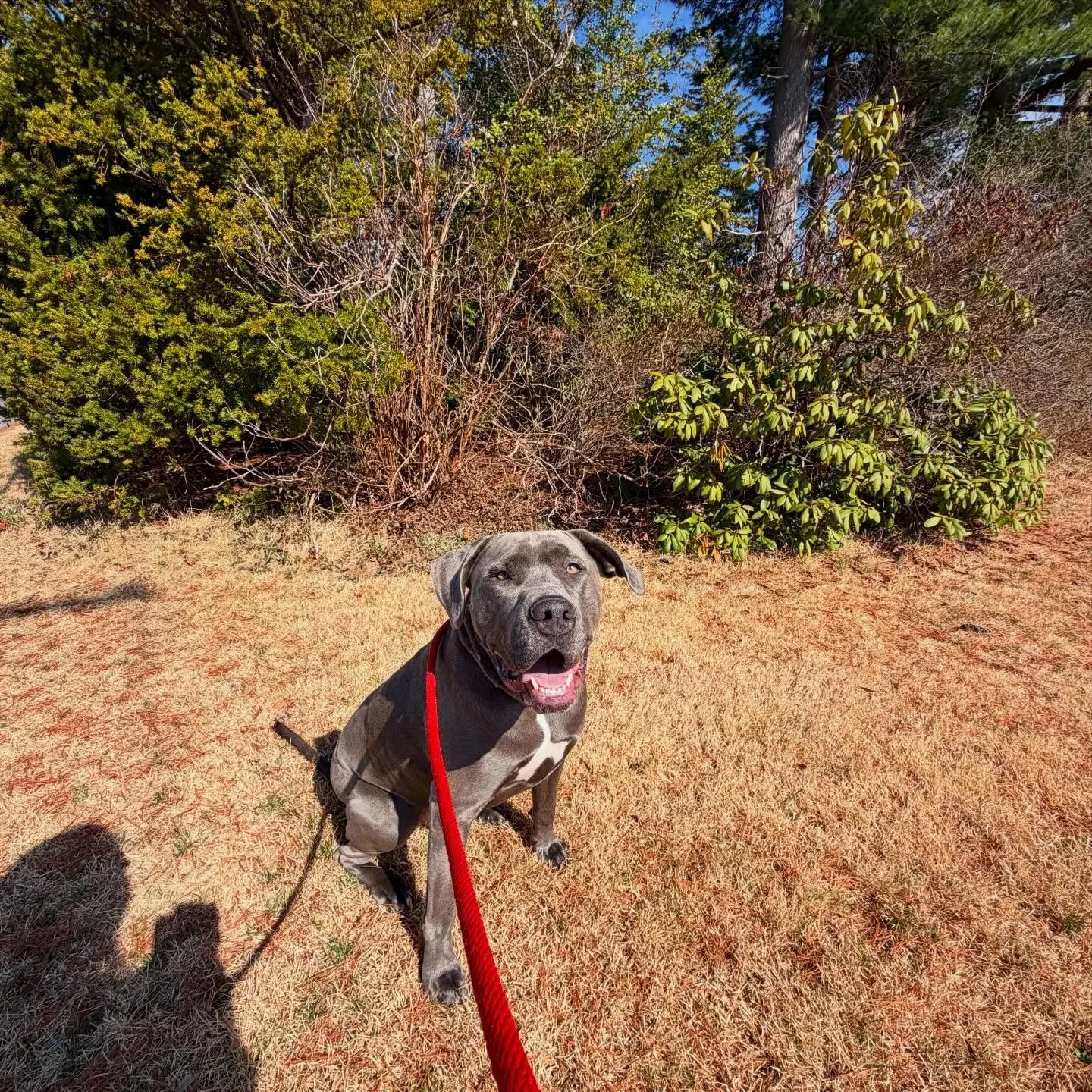 Our schedules and hearts have been so full!! 🐾🩷