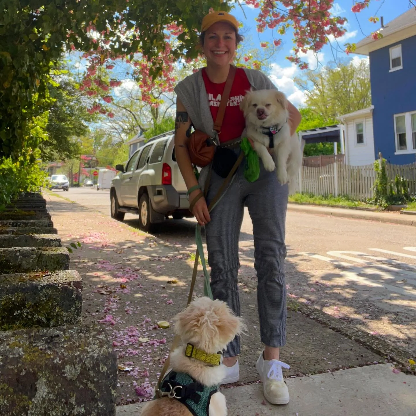 Heatstroke is no joke! 🌡️

With the record-breaking temperatures this week, we&rsquo;ve been sticking to the shade, avoiding hot pavement, and keeping a close eye on every dog. We&rsquo;re adjusting walks as needed or even acting as a personal chauf