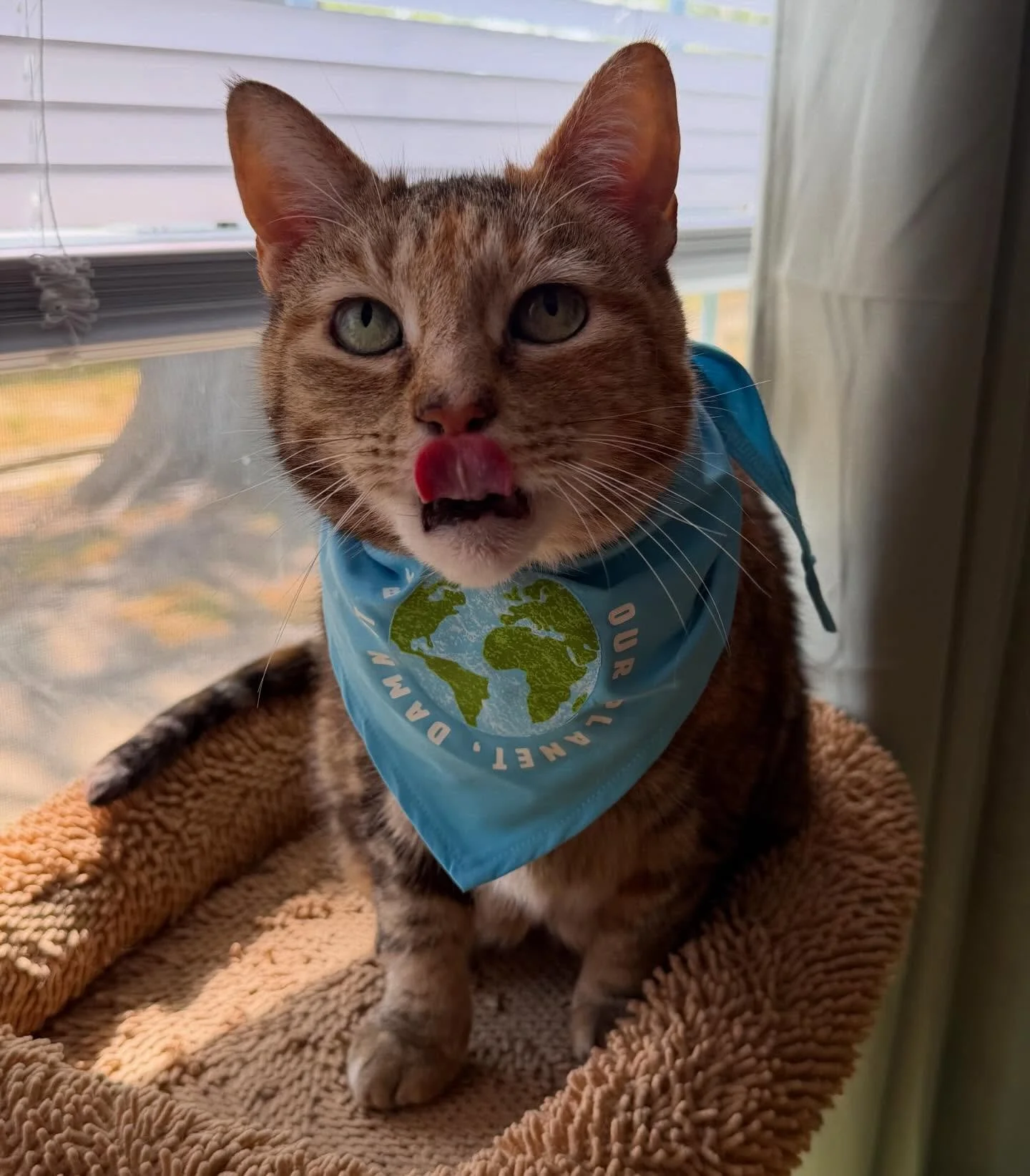 Happy Earth Day from Mother Gaia herself! 🌎 She said be nice to our planet, damn it! 🌱