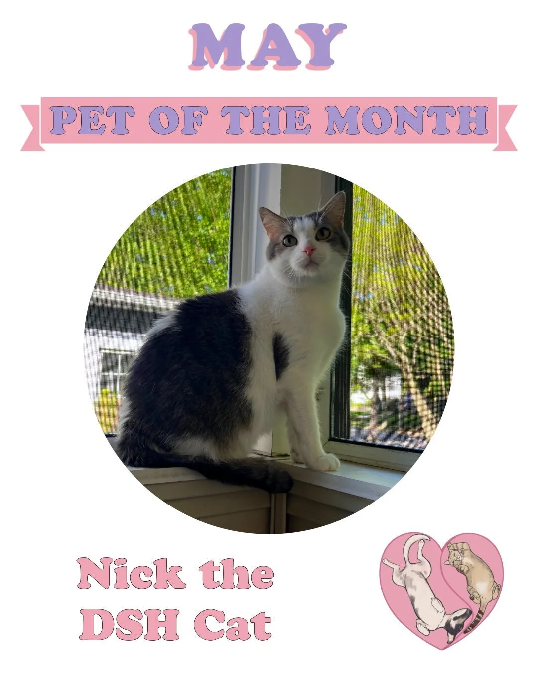 It might be the very last day of the month, but we couldn&rsquo;t let May slip away without celebrating one of our favorite boys! 💕

Meet Nick, our May Pet of the Month! 🏆✨ Nick is a 5-year-old domestic shorthair cat who only has 3 legs! He is a ve