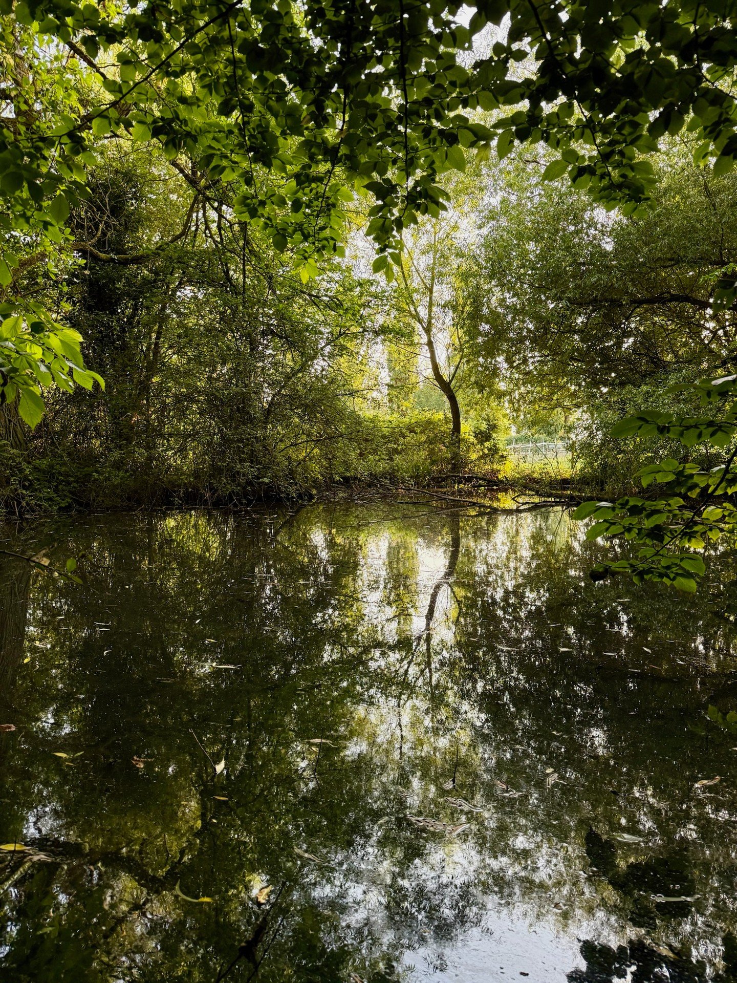 There&rsquo;s something magical about the woods at Shore Hall &mdash; where quiet moments by the pond help you slow down, breathe a little deeper, and feel closer to nature. 🌿

#ShoreHallUK #WoodlandMagic #TimeInNature #AirbnbUK #EnglishCountryside