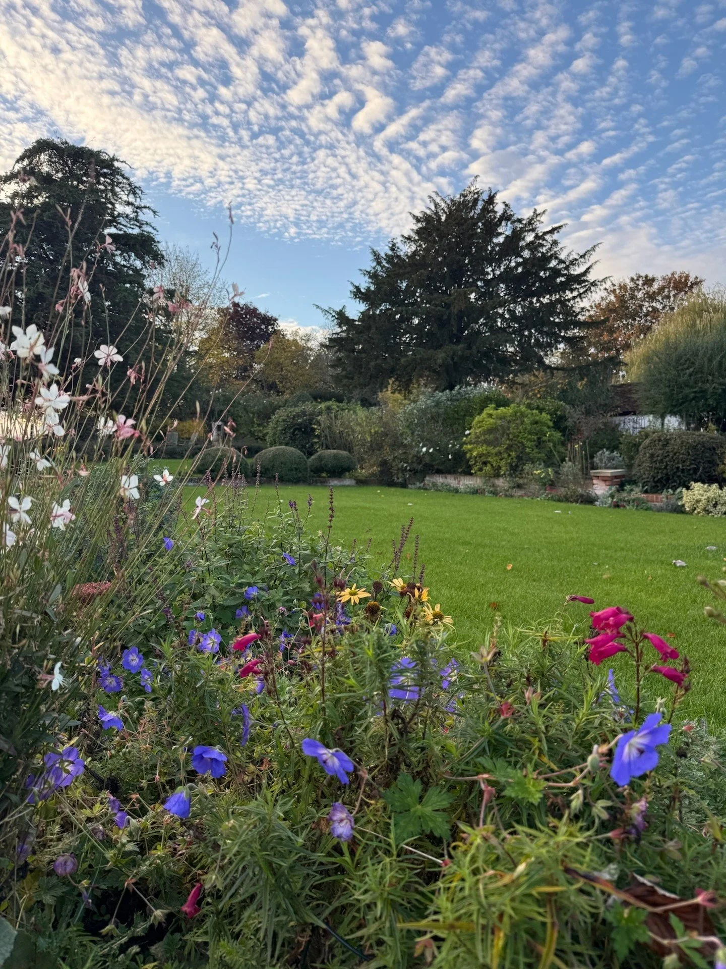 Who said autumn&rsquo;s all gold and brown? Shore Hall&rsquo;s gardens say otherwise! 🌸

#ShoreHallUK #AutumnMagic #NatureInBloom #StillInBloom #AutumnAtTheManor #BritishGardens #CountrysideRetreat #AirbnbUK
