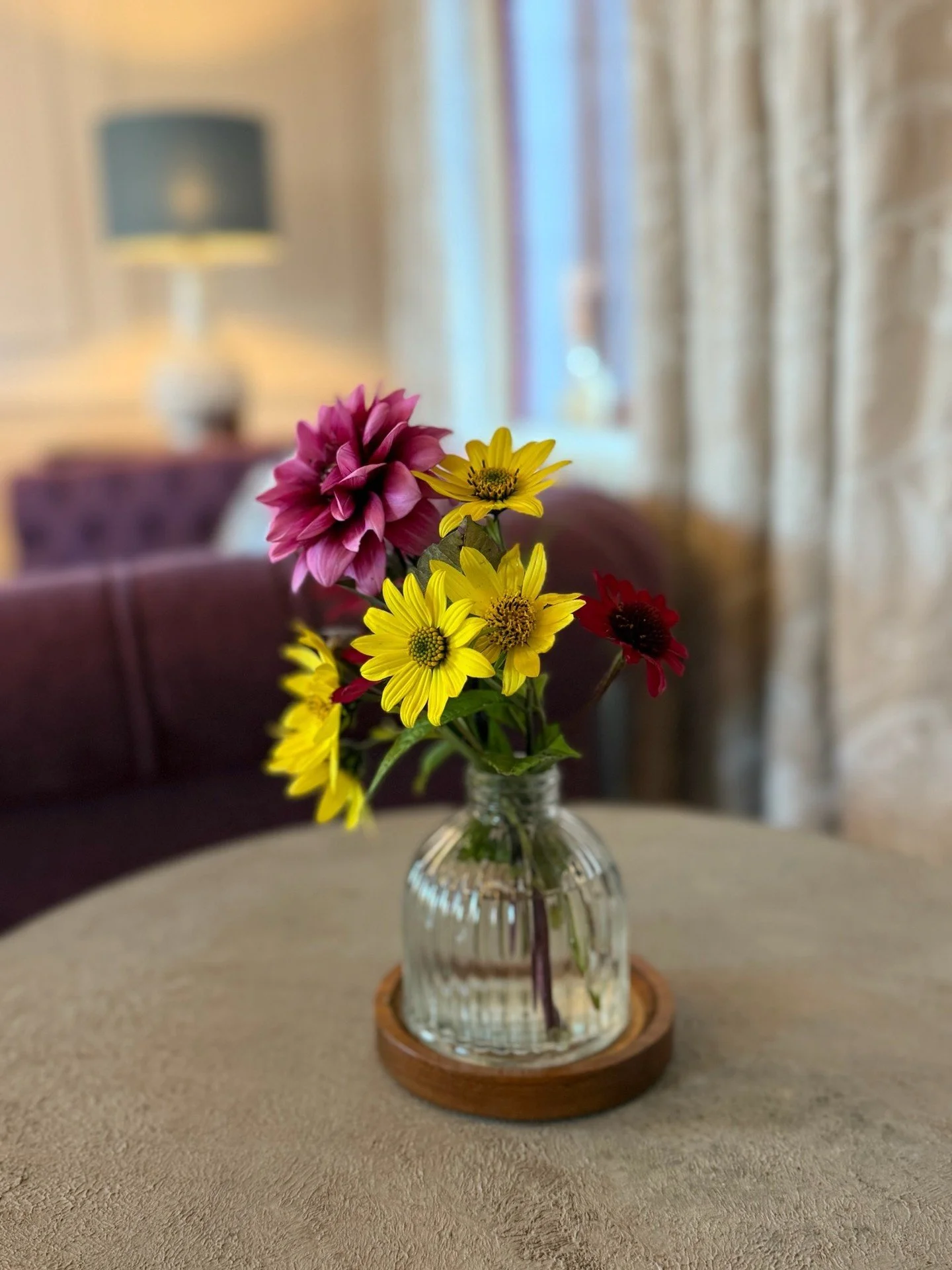 Because sometimes all you need is a quiet room and a few little flowers! 🌼

#ShoreHallUK #SimplePleasures #SlowLiving #CountrysideRetreat #MomentsOfCalm #CosyCorners #VisitEssex #EscapeTheEveryday #AirbnbUK