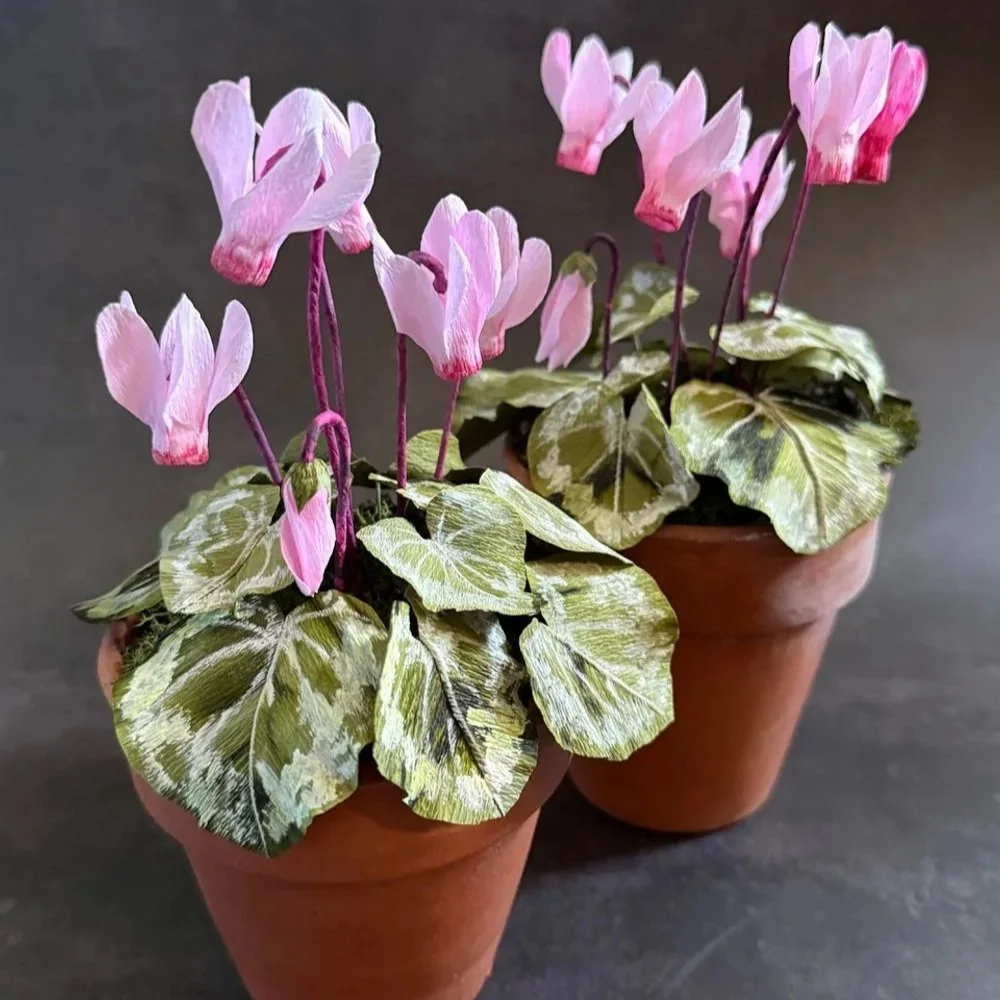 Floragami Paper Cyclamen Workshop