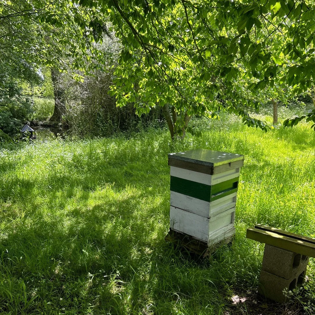 On #WildlifeConservationDay, we&rsquo;re celebrating the small wonders we&rsquo;re lucky to share this beautiful place with, and our commitment to protecting and enhancing the land that supports them. 🐝  Caring for our natural surroundings isn&rsquo