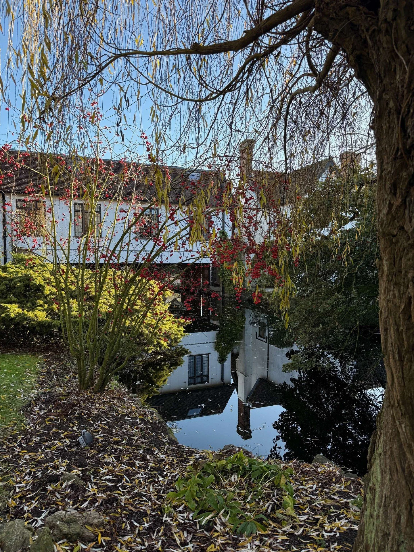 The quiet days between Christmas and New Year 🌿 Stillness, reflection, and space to breathe.

#ShoreHallUK #BetweenYears #WinterStillness #CountrysideCalm #SlowMoments #NatureAndWellbeing #QuietDays