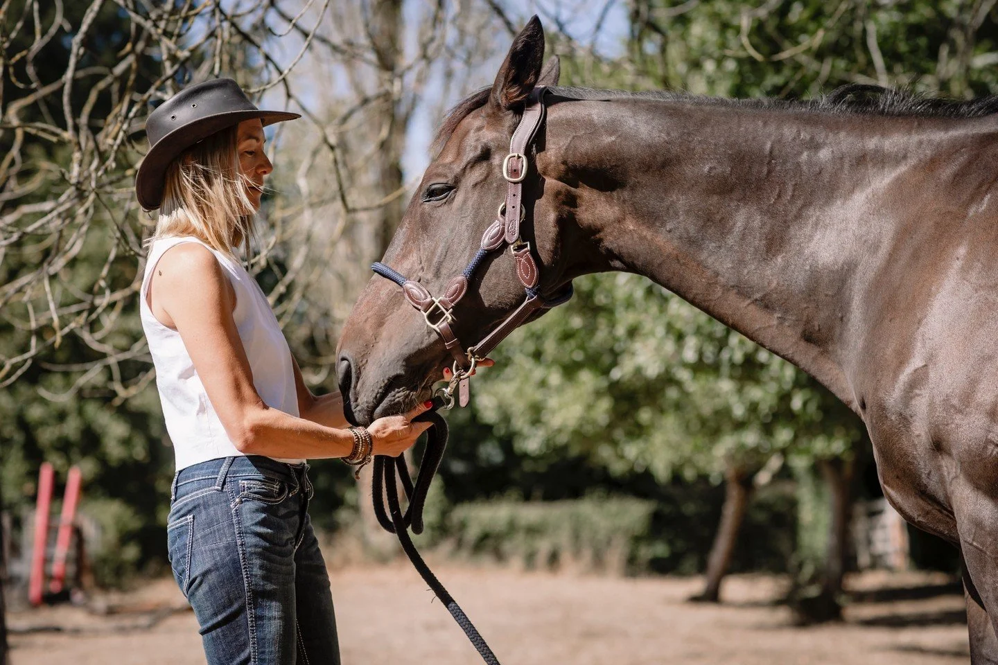 This is the Year of the Horse. 🐎
A symbol of strength, intuition and connection.

Through Horse Powered Insight&reg; with @laraholliday - our horses offer a powerful, experiential approach to personal and professional learning.

Their calm interacti