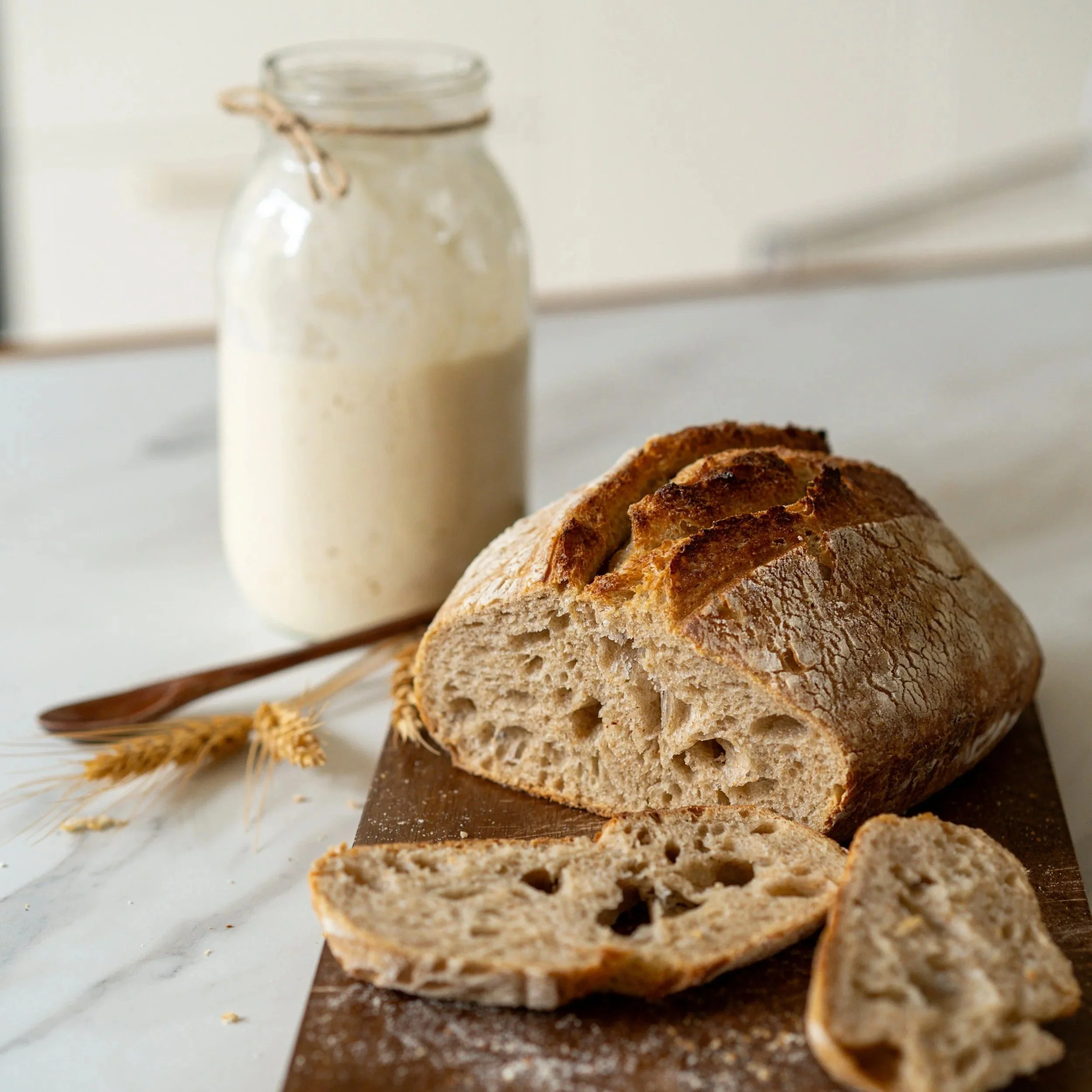 Nourish &amp; Ferment for Gut Health