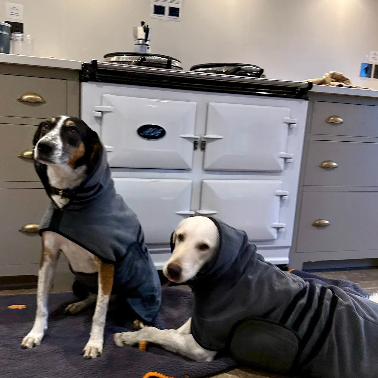 Wet walks, good coats and the Aga doing what it does best.
All weathers, all part of Shore Hall life!

#ShoreHallUK #LifeAtShoreHall #AgaLife #AgaSeason #CountryHouseLiving #WetWalks #CountrysideDogs #EssexCountryside #CountrysideEscape #OutsideInAll
