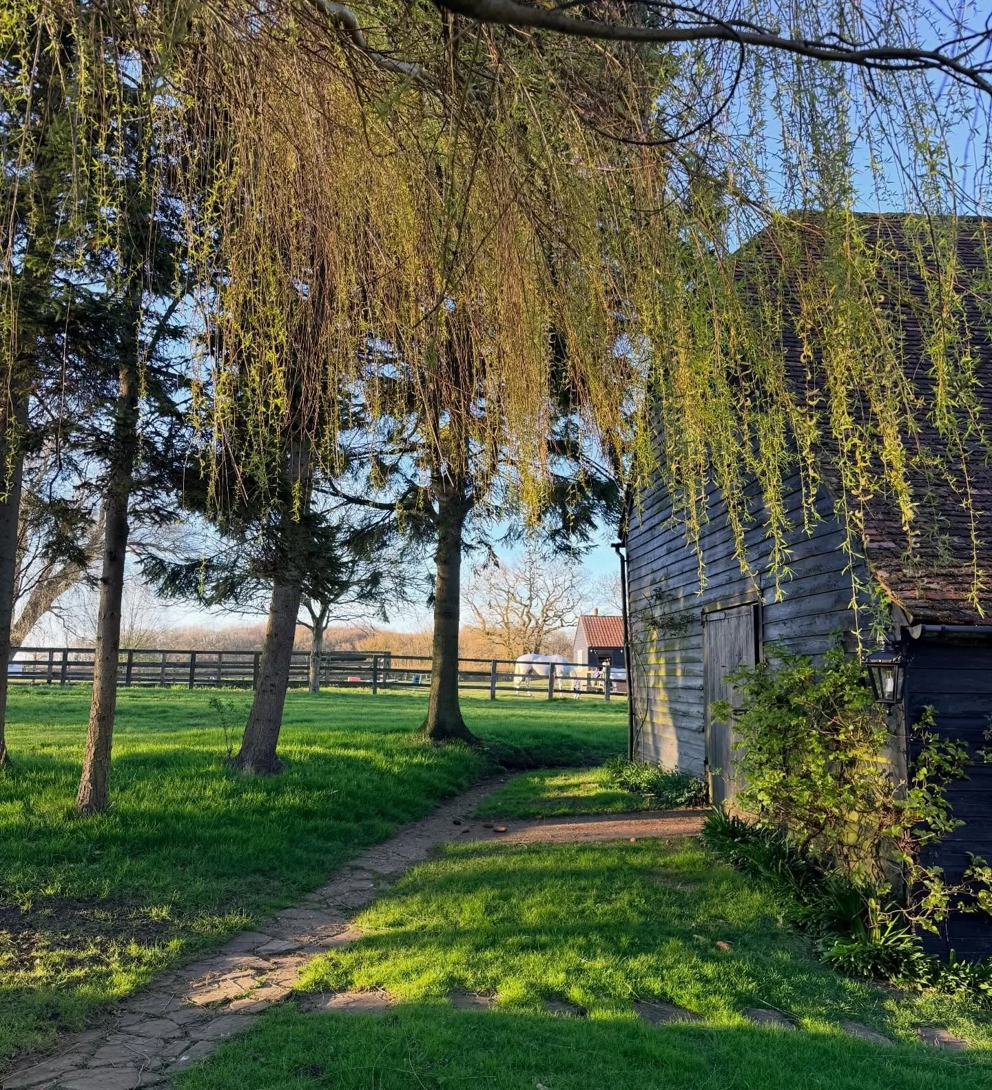 We love this time of year when the willow trees start dressing themselves in green. 🌳

#countryliving
#airbnbuk
#holidayhome 
#englishcountrygarden 
#wellnessretreats