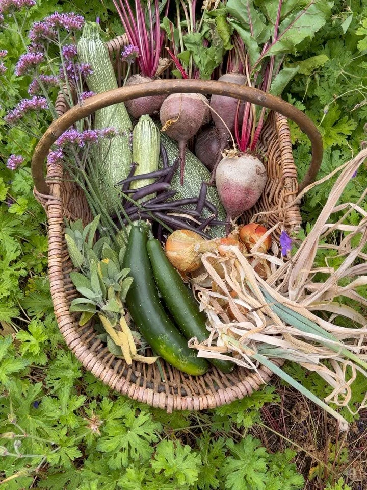 There&rsquo;s something deeply satisfying about harvesting food that&rsquo;s been grown with care.

Despite the drought and recent heatwave, our potager garden is still thriving. James&rsquo;s AI-driven irrigation system uses well water to water only