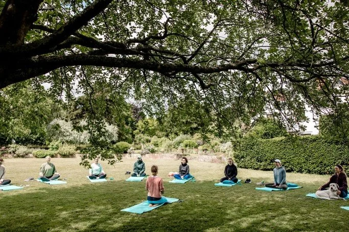 Digital detox retreats at Shore Hall are a reminder of what we can invite into our lives when we put technology aside. 

Presence. Connection. Creativity. Rest.

Our senses awaken, conversations deepen, experiences become richer, and recuperation bec