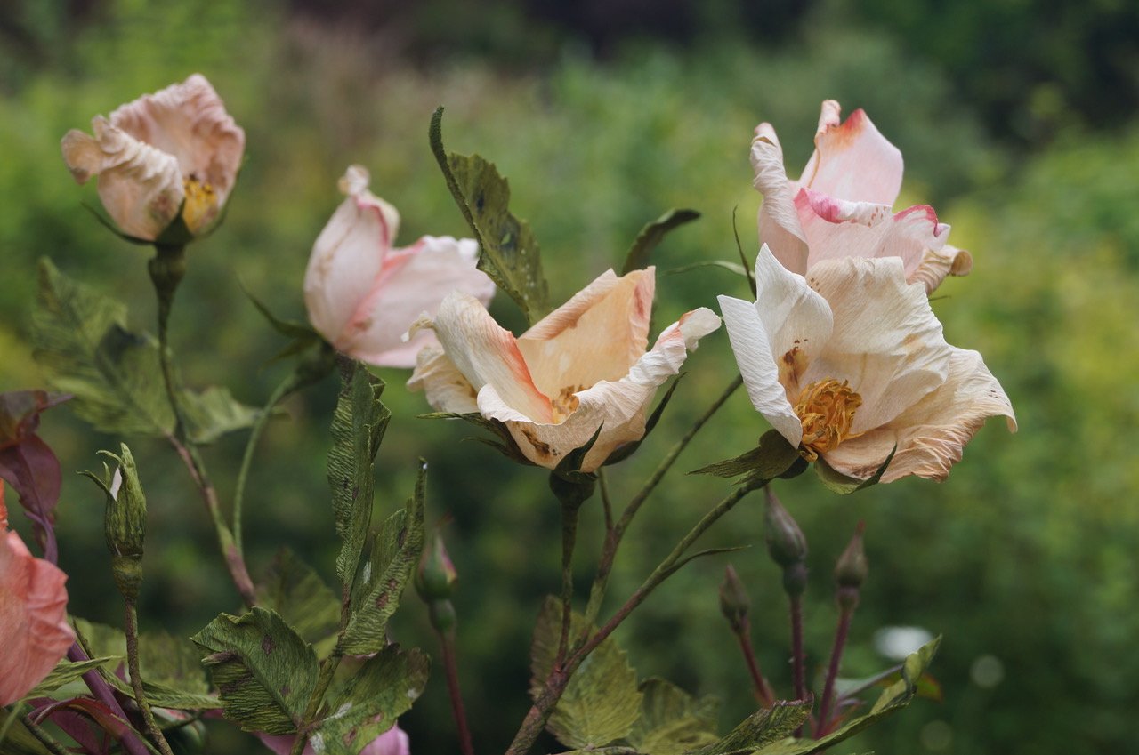 Floragami Wild Roses
