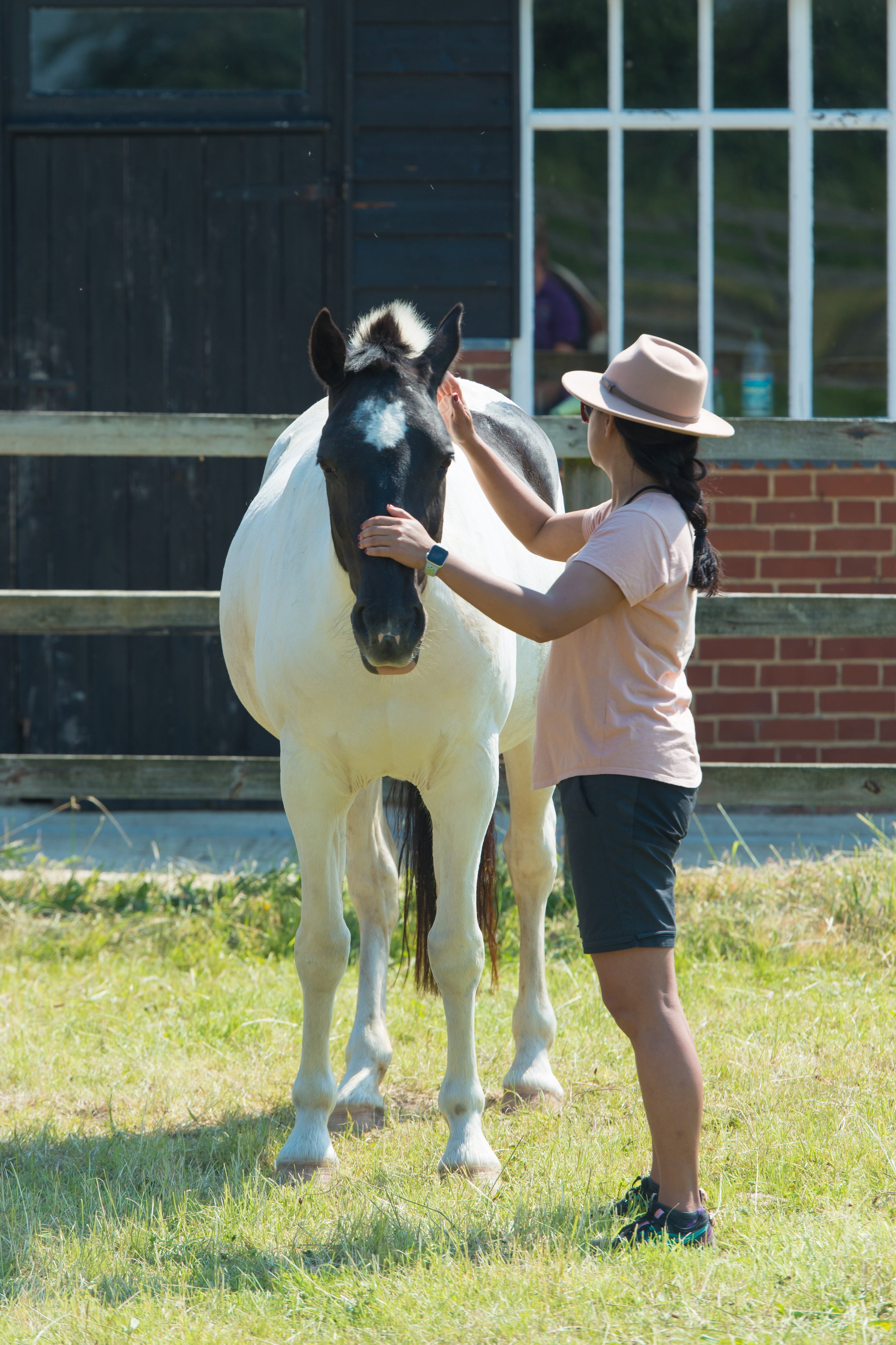 Horse Exercise 3.JPG